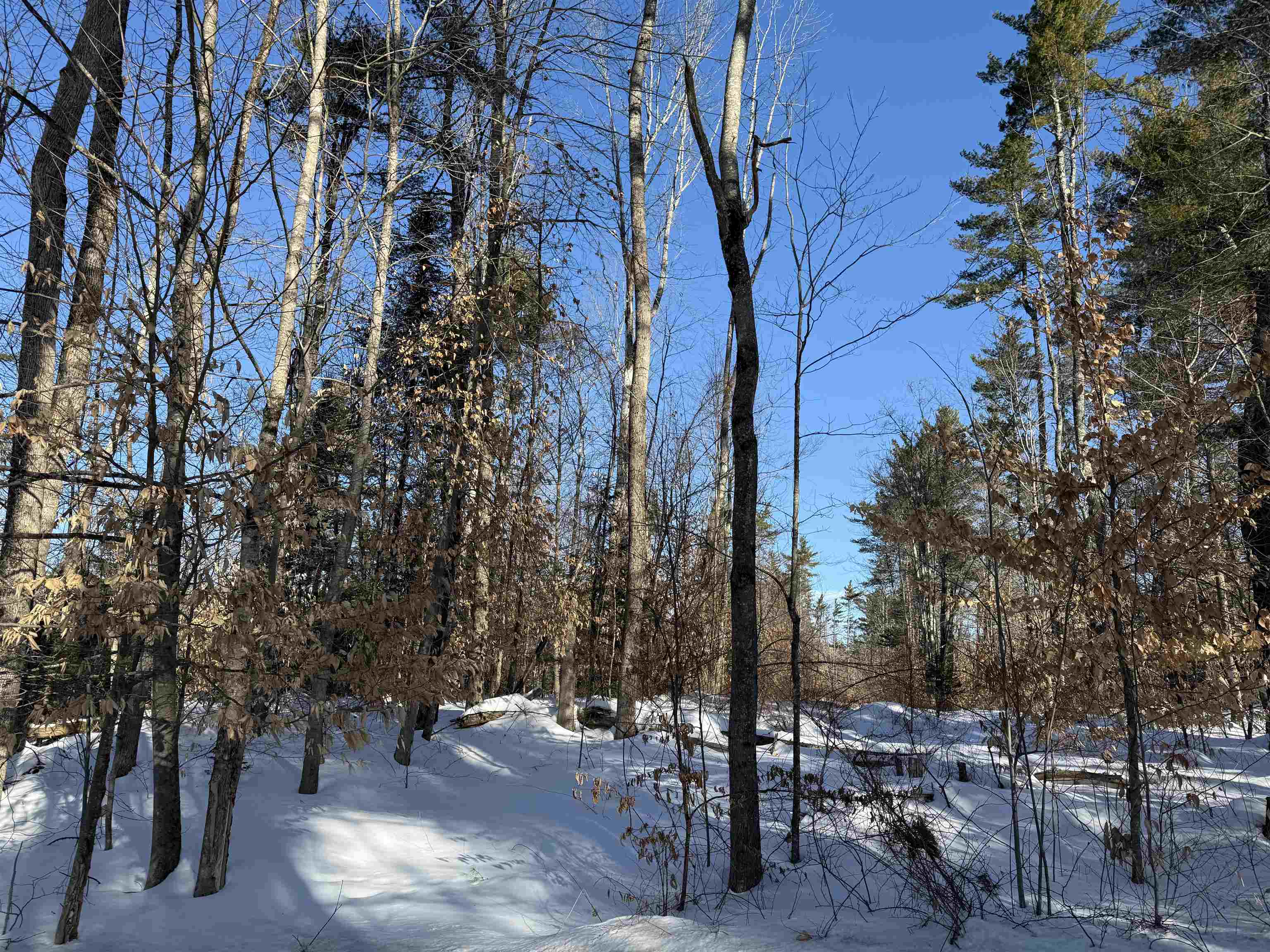 0 Hobbs Road Effingham, NH 03882 - Photo 2 of 7