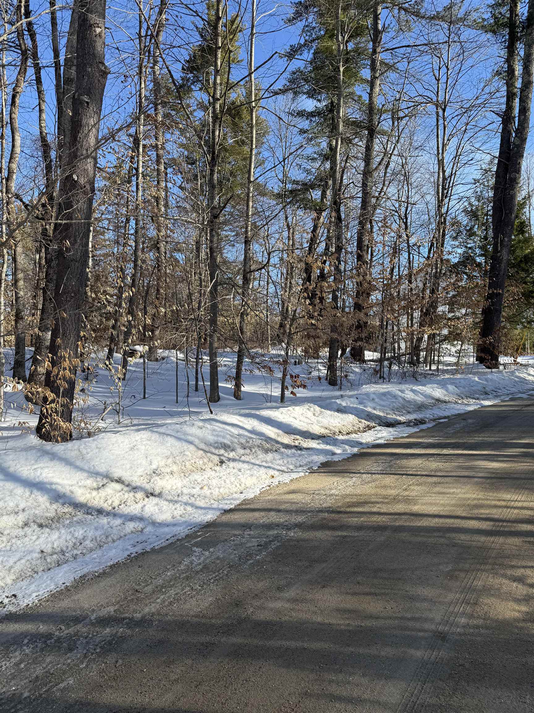 0 Hobbs Road Effingham, NH 03882 - Photo 4 of 7