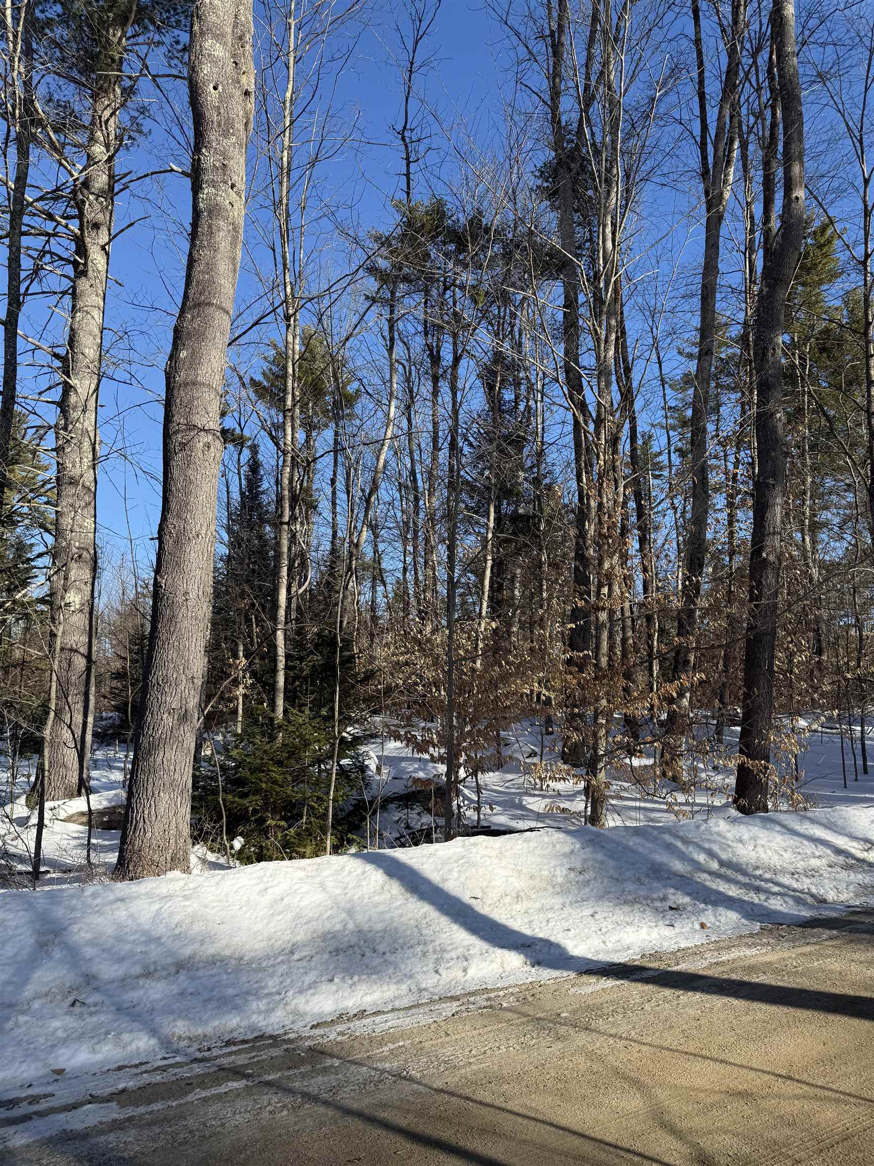 0 Hobbs Road Effingham, NH 03882 - Photo 5 of 7