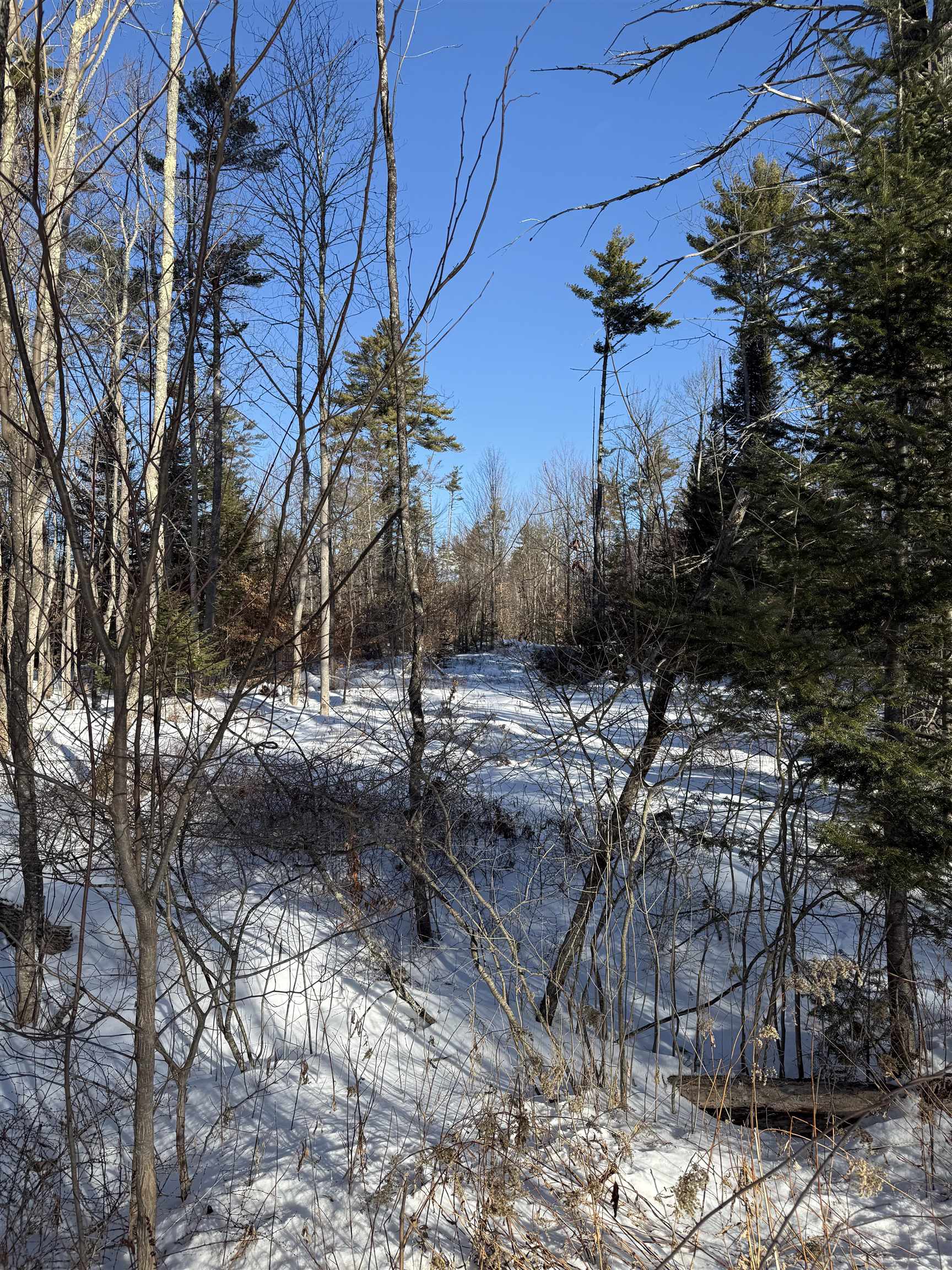 0 Hobbs Road Effingham, NH 03882 - Photo 6 of 7