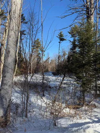 $150,000 | 0 Hobbs Road, Effingham, NH 03882