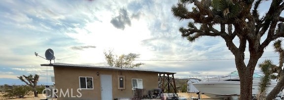 a close up of a tree