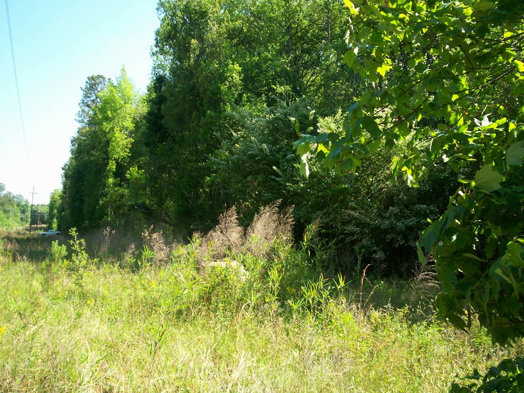 0 Reynolds Pond Road Aiken, SC 29805 - Photo 8 of 16 Gallery Image 8