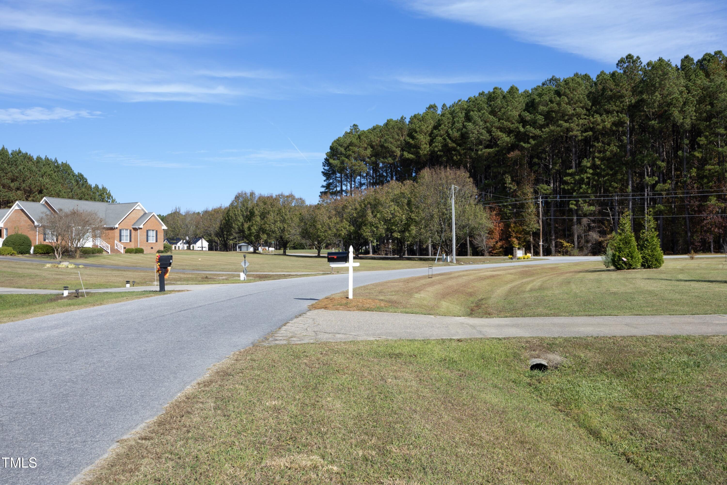 101 Ryans Run Youngsville, NC 27596 - Photo 7 of 33 a view of a playground with basketball court