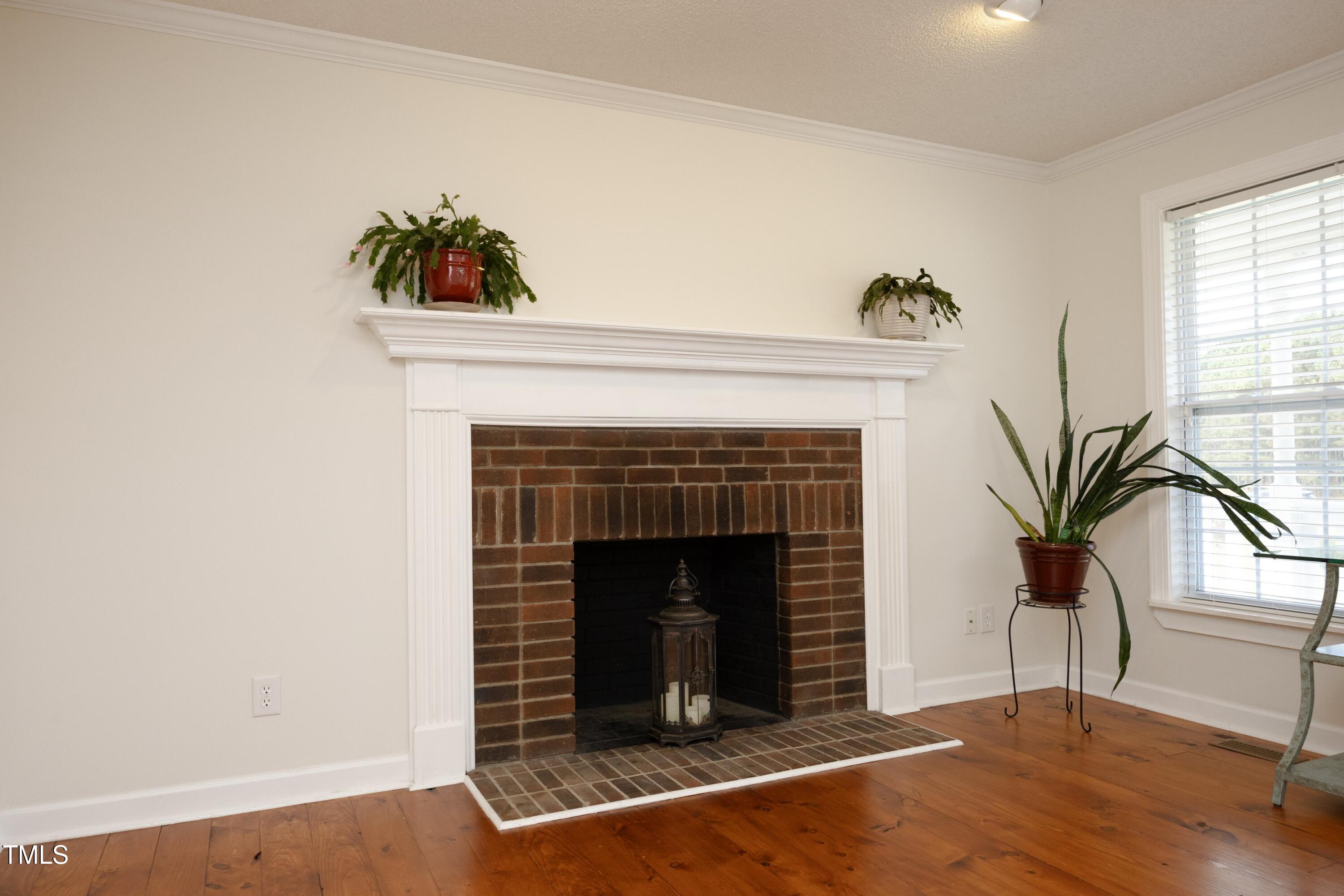 101 Ryans Run Youngsville, NC 27596 - Photo 10 of 33 a living room with a fireplace and potted plants