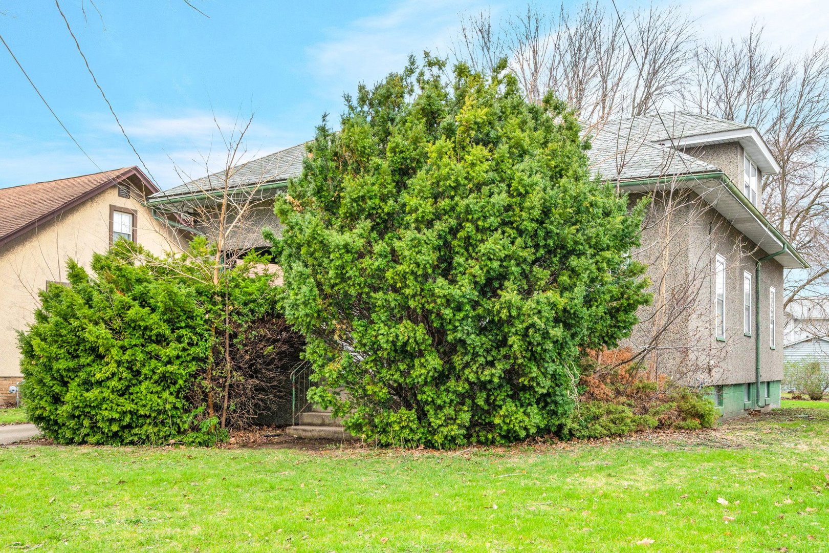 2319 5th Street Peru, IL 61354 - Photo 23 of 37 a view of a yard with plants and a large tree