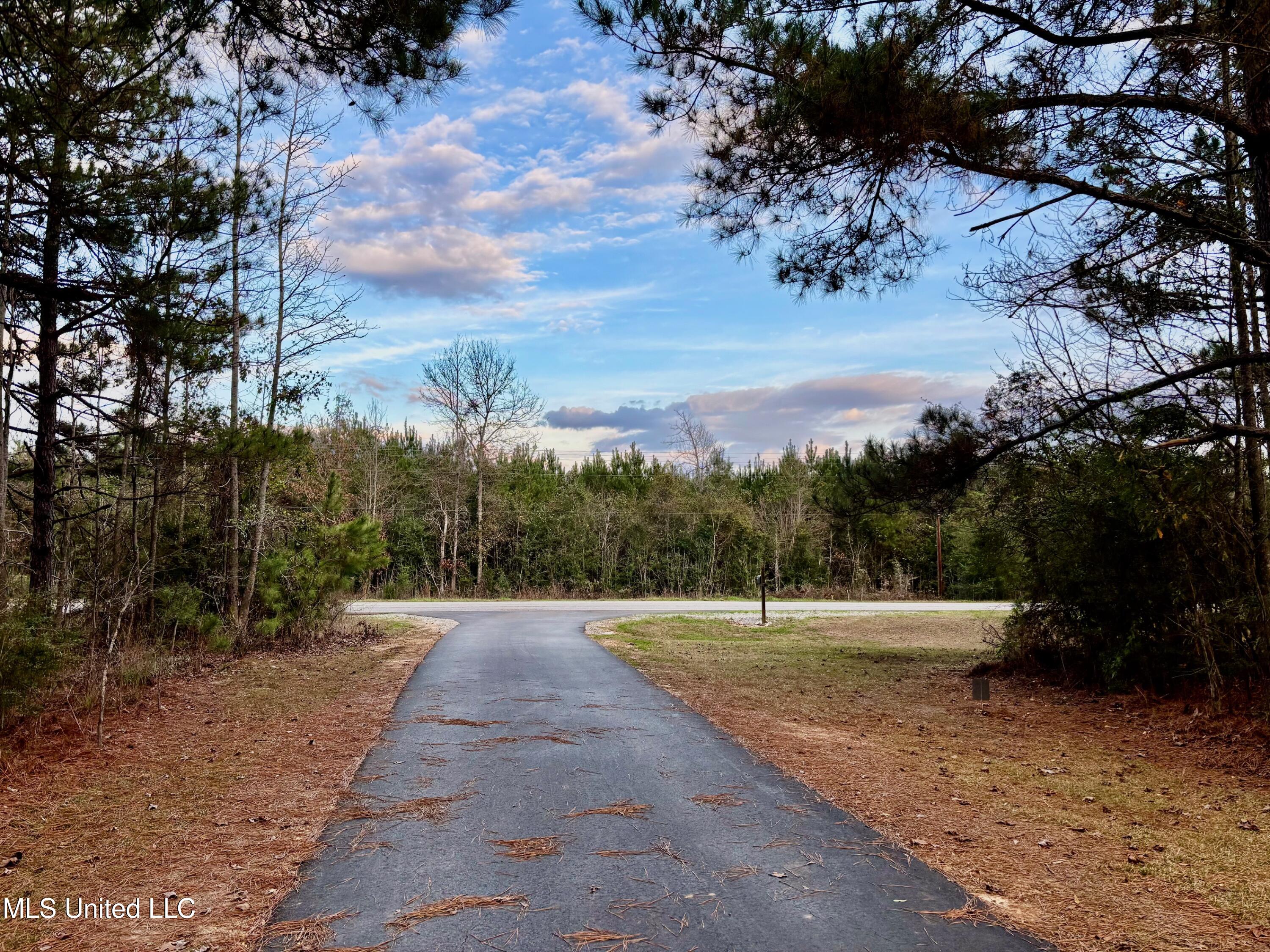 1614 Highway 583 Jayess, MS 39641 - Photo 37 of 37 IMG_1314