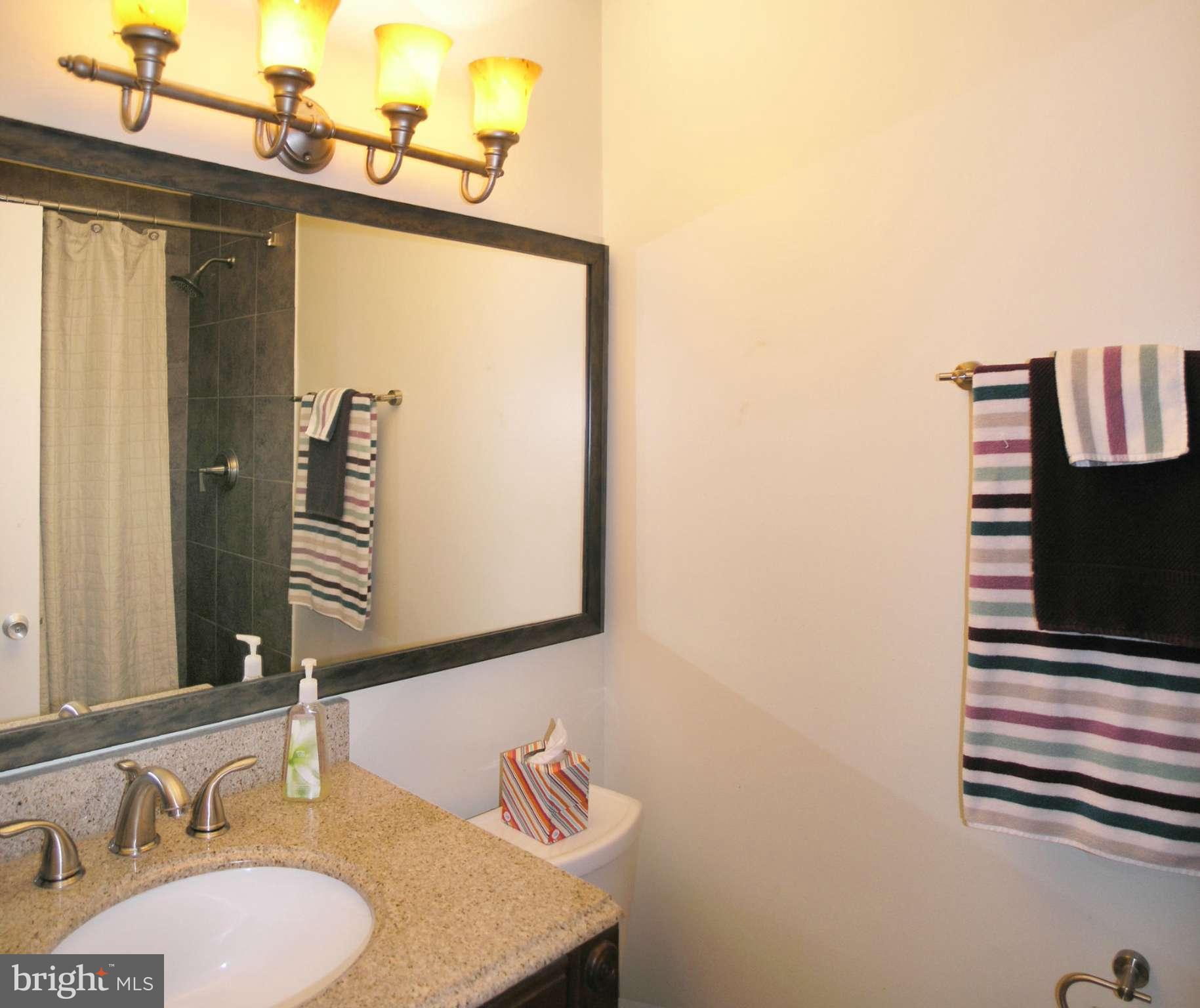 1627 Bentana Way Reston, VA 20190 - Photo 16 of 27 Bath (Master)