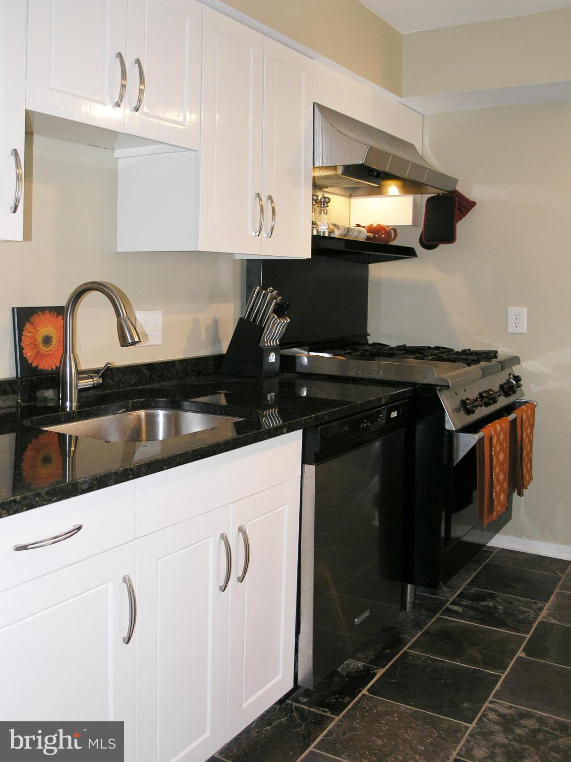 1627 Bentana Way Reston, VA 20190 - Photo 10 of 27 Kitchen