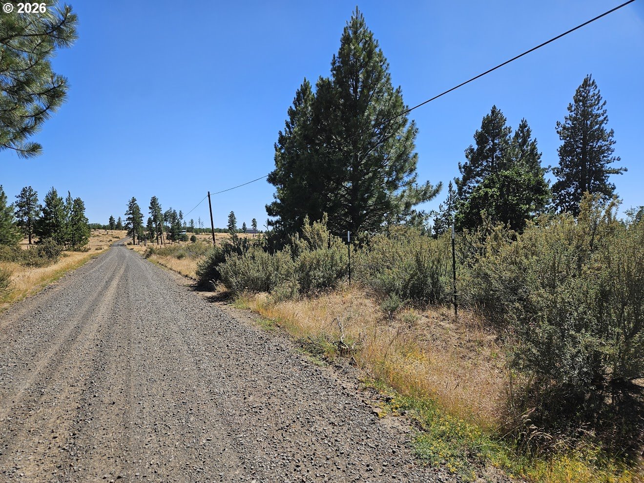 67 Timber Lane Roosevelt, WA 99356 - Photo 7 of 37 a view of a dirt road with a building in the background