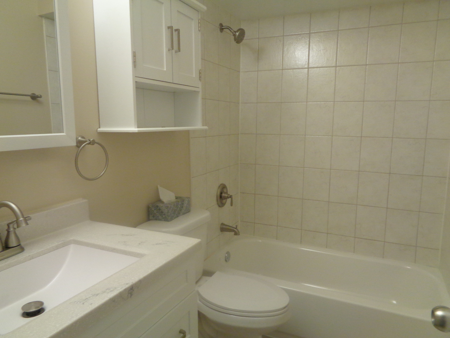 10442 Brooks Lane, Unit C1 Chicago Ridge, IL 60415 - Photo 10 of 12 a bathroom with a sink a toilet and shower