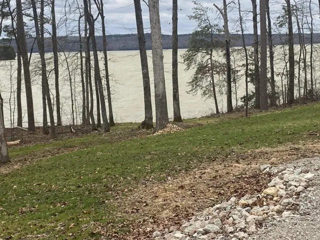 a view of outdoor space with garden