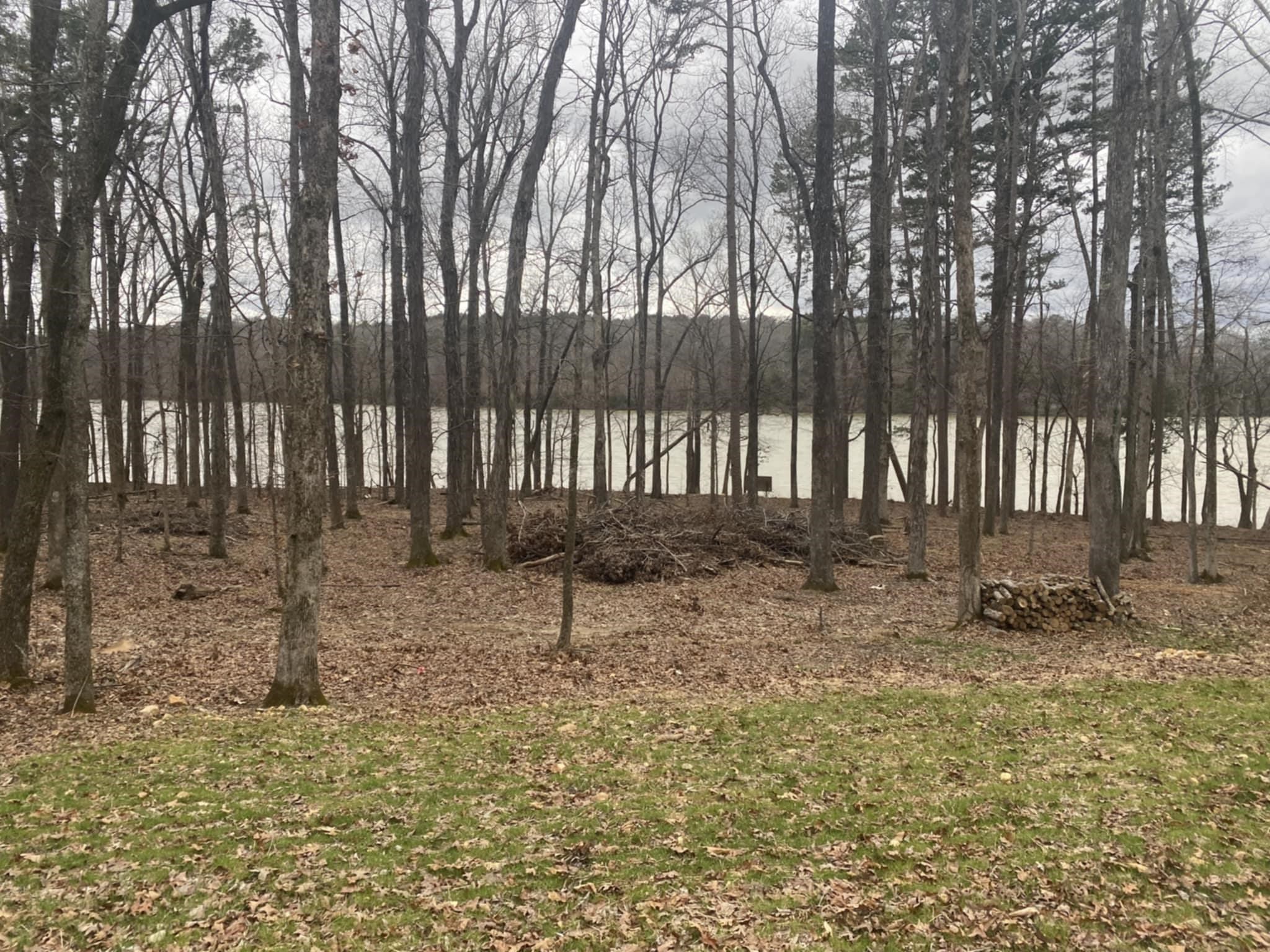Pompeys Branch Road Savannah, TN 38372 - Photo 2 of 5 a view of a backyard with tree