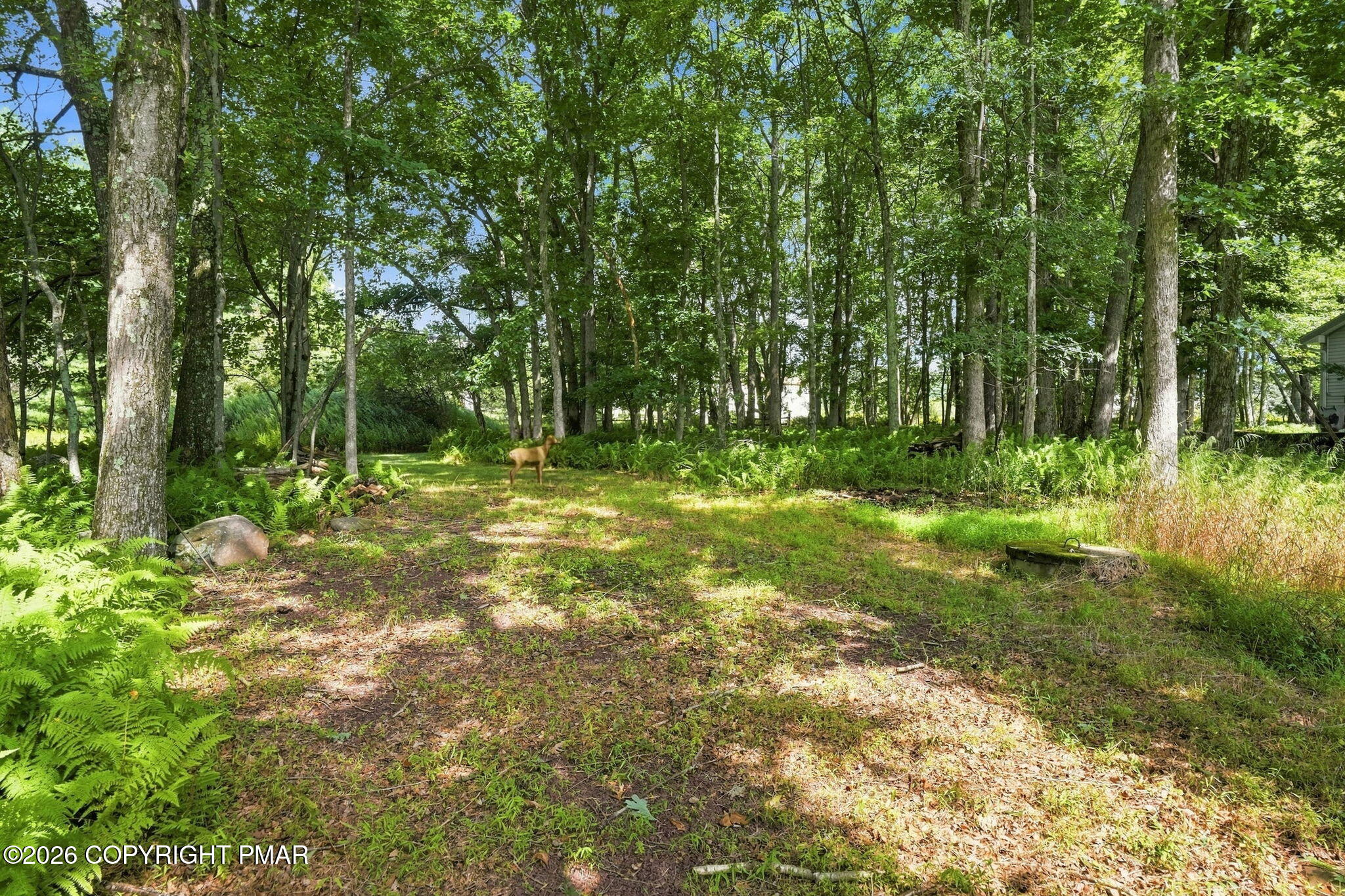 15 Larch Road Jim Thorpe, PA 18229 - Photo 57 of 64 Rear Yard