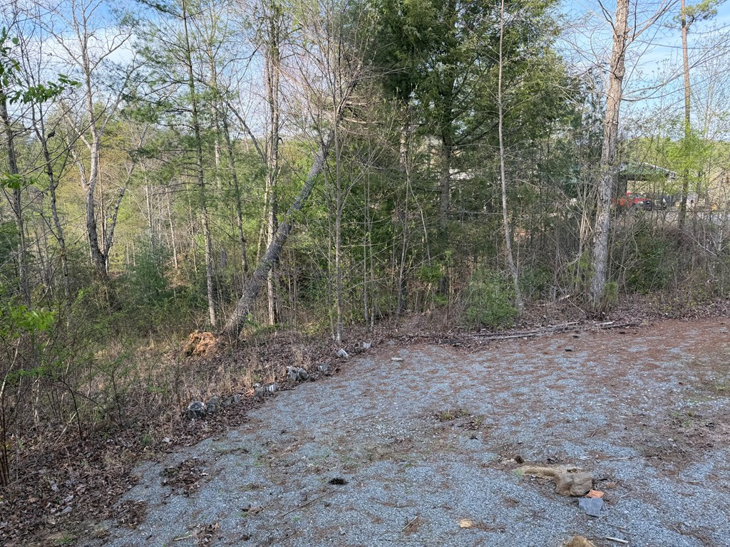 215 Pioneer Ests Road Murphy, NC 28906 - Photo 9 of 19