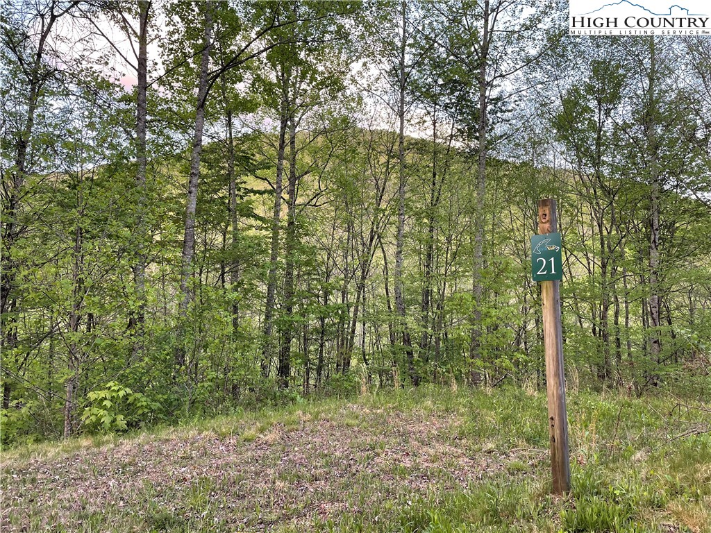 Tbd Lot #21 R Tbd Ridge Todd, NC 28684 - Photo 2 of 15