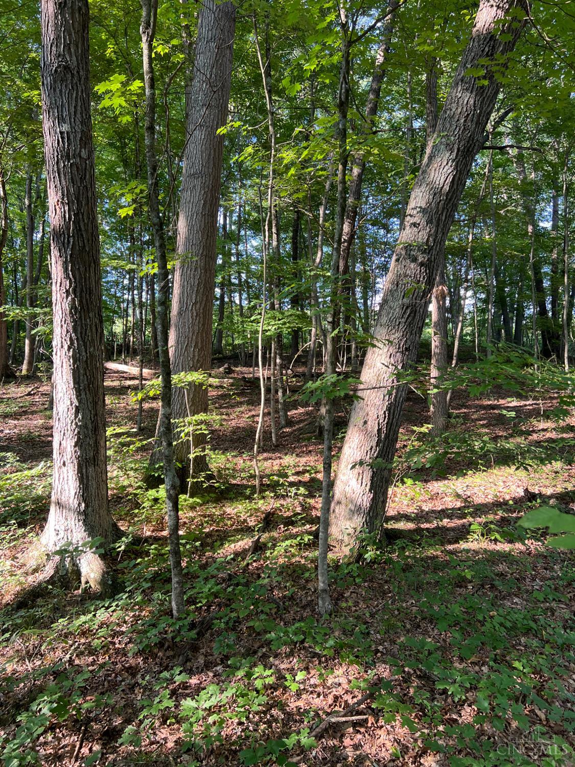 0 Tabernacle Road Chillicothe, OH 45601 - Photo 17 of 64