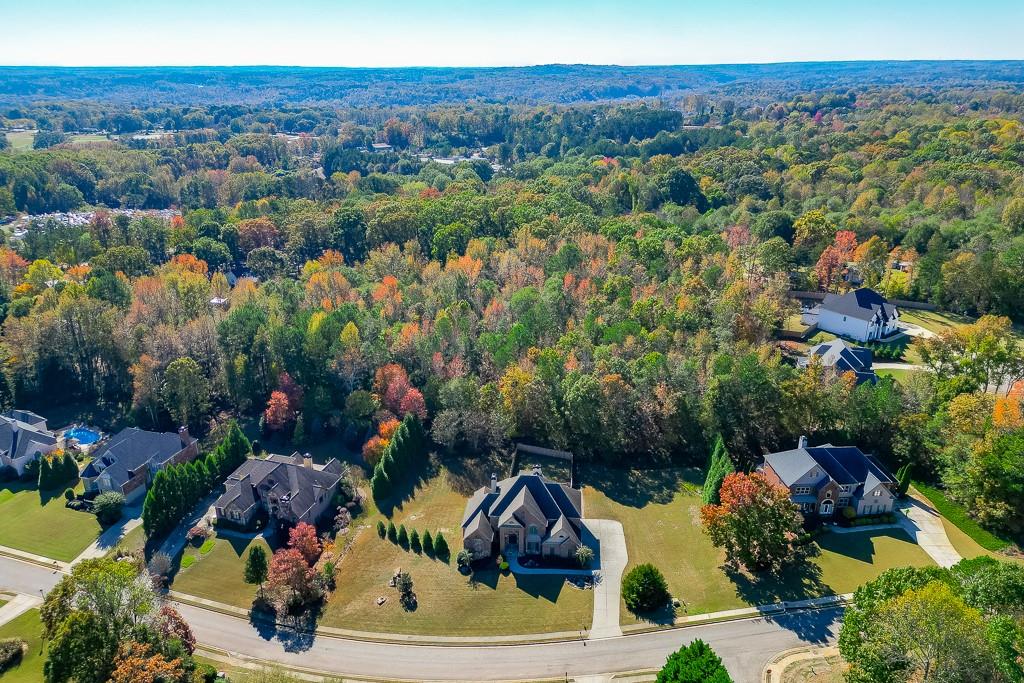 940 Chateau Forest Road Hoschton, GA 30548 - Photo 2 of 87