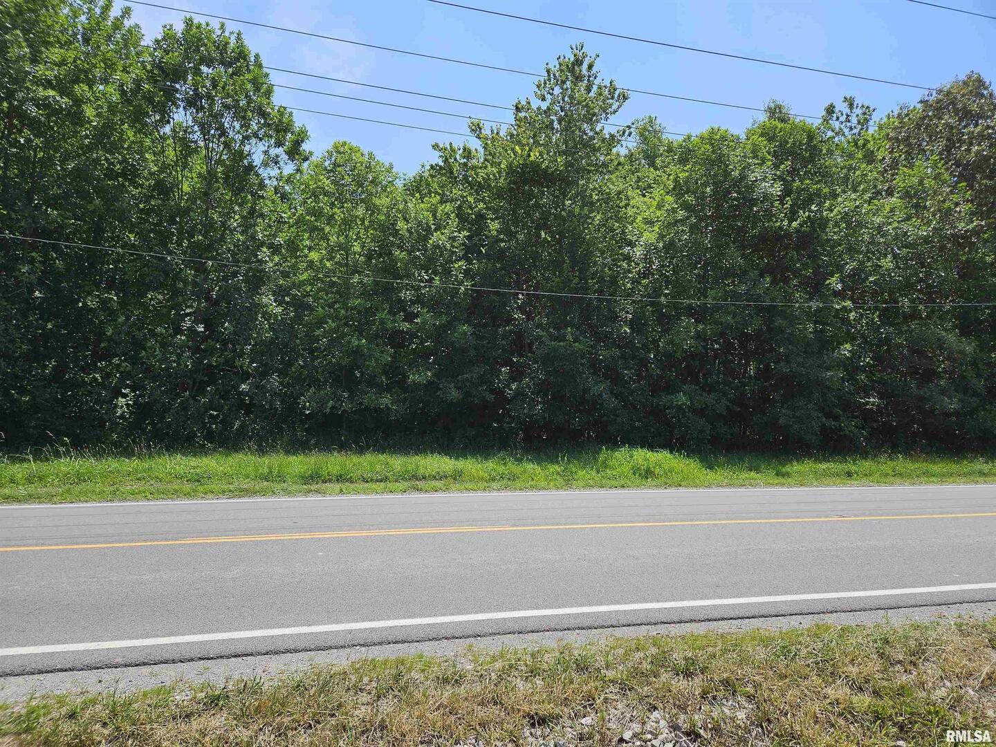 0 South 51st Road South Pulaski, IL 62976 - Photo 1 of 9