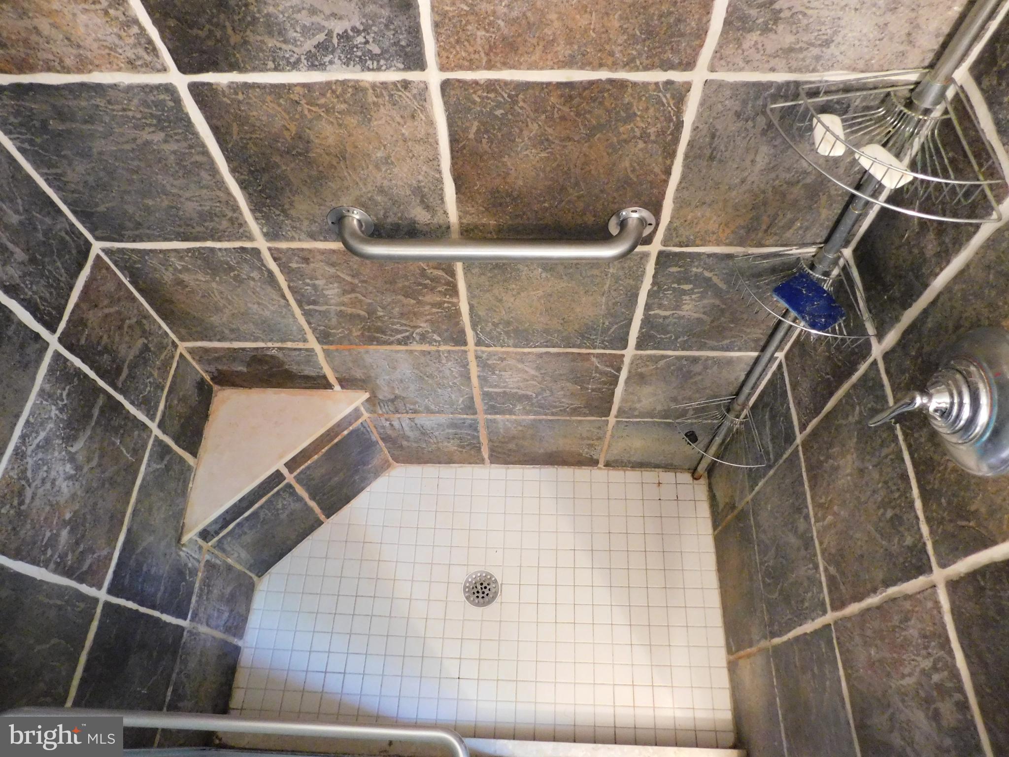 1718 Laurel Brook Road Fallston, MD 21047 - Photo 16 of 60 Cool hallway shower