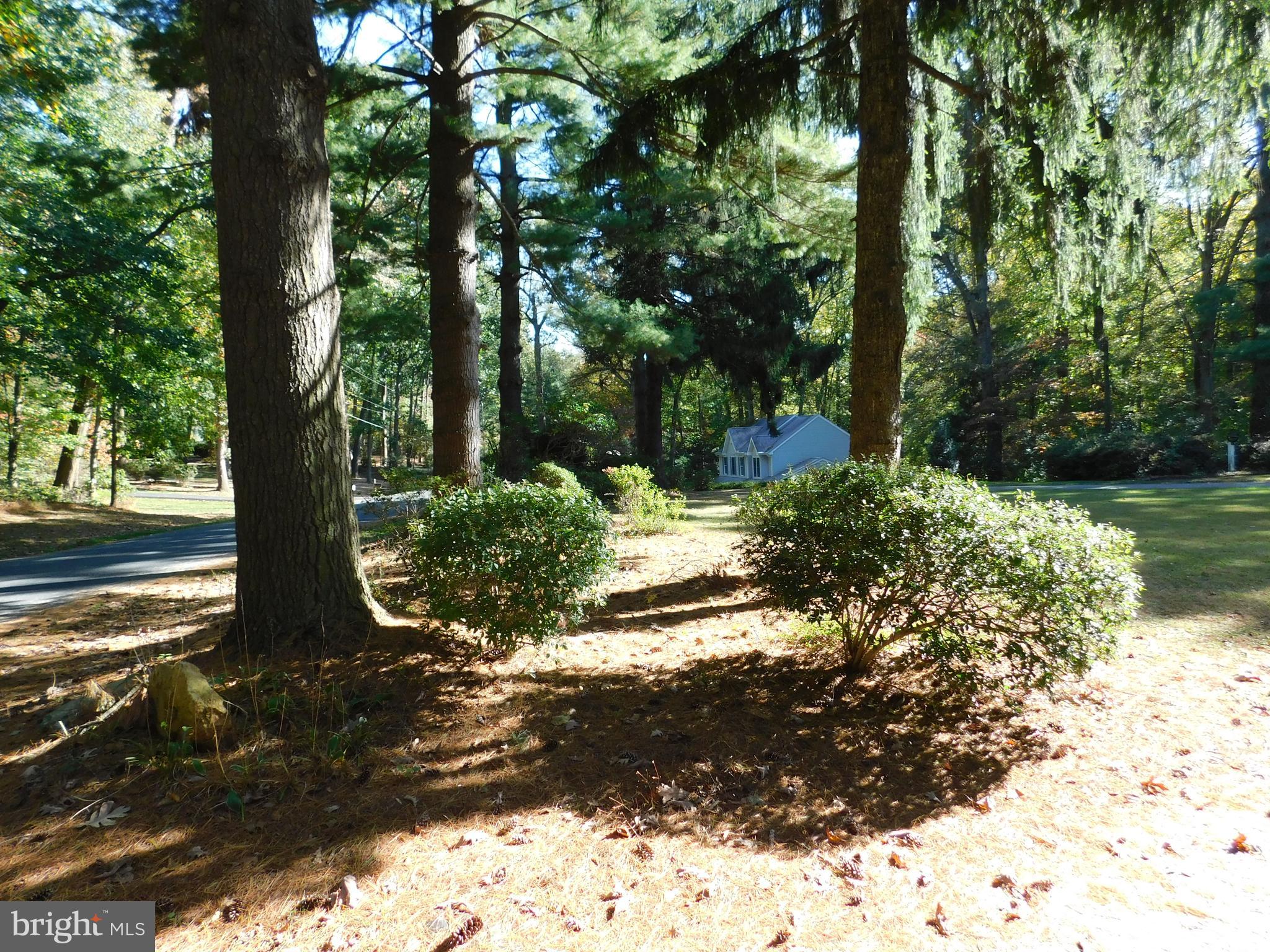 1718 Laurel Brook Road Fallston, MD 21047 - Photo 36 of 60 Treed lot