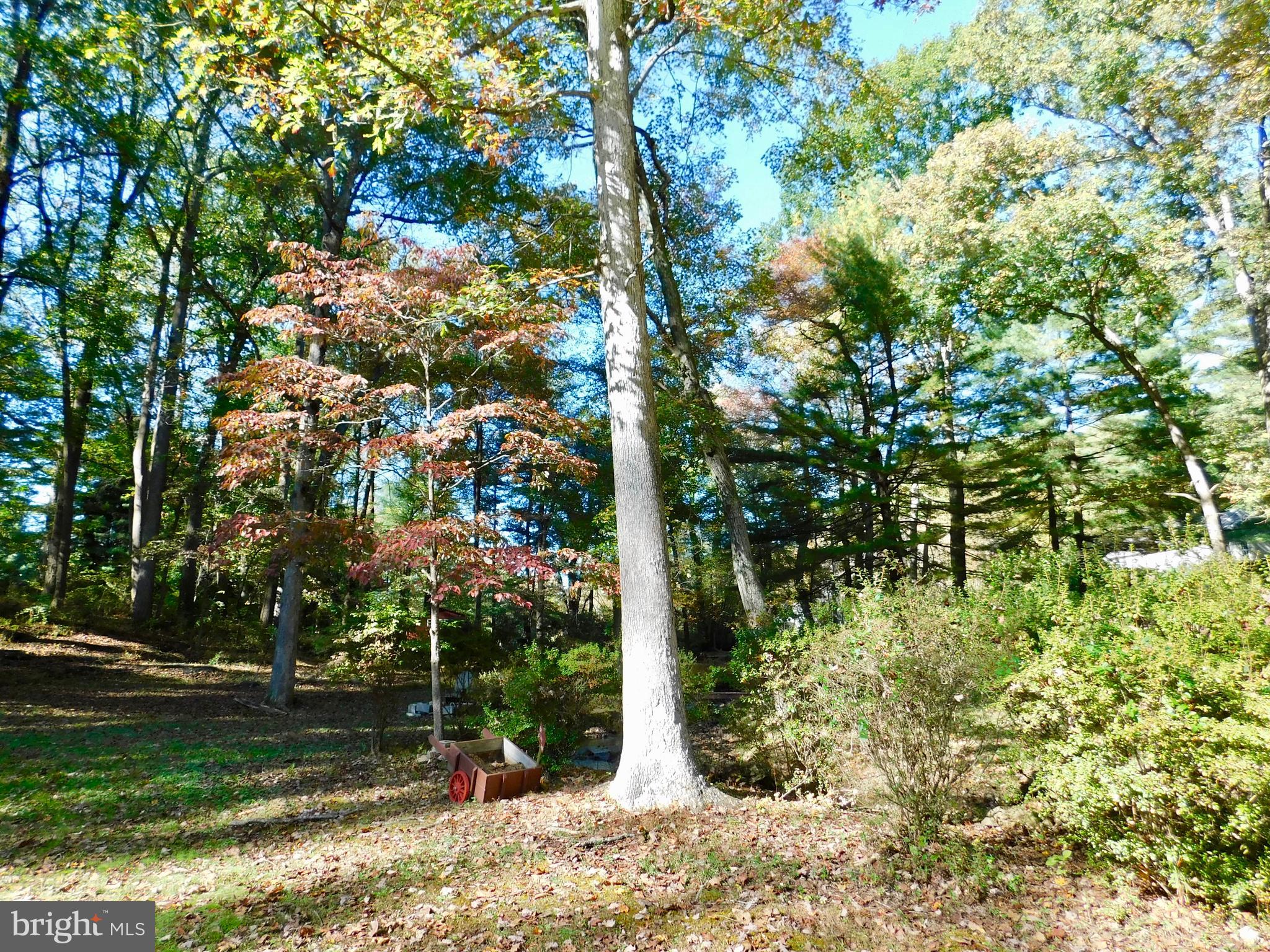 1718 Laurel Brook Road Fallston, MD 21047 - Photo 40 of 60 Beautiful wooded land