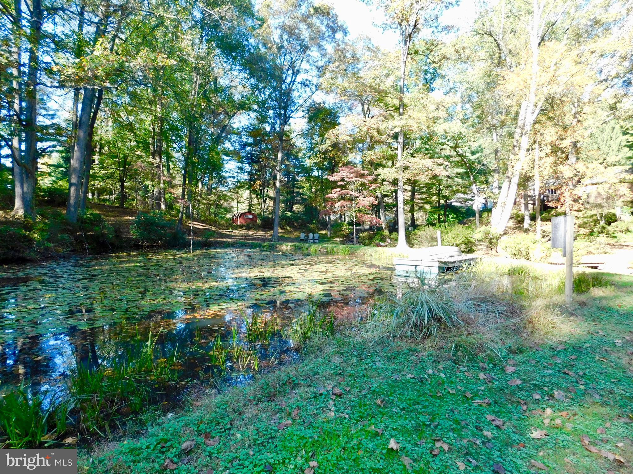 1718 Laurel Brook Road Fallston, MD 21047 - Photo 41 of 60 Your very own Pond