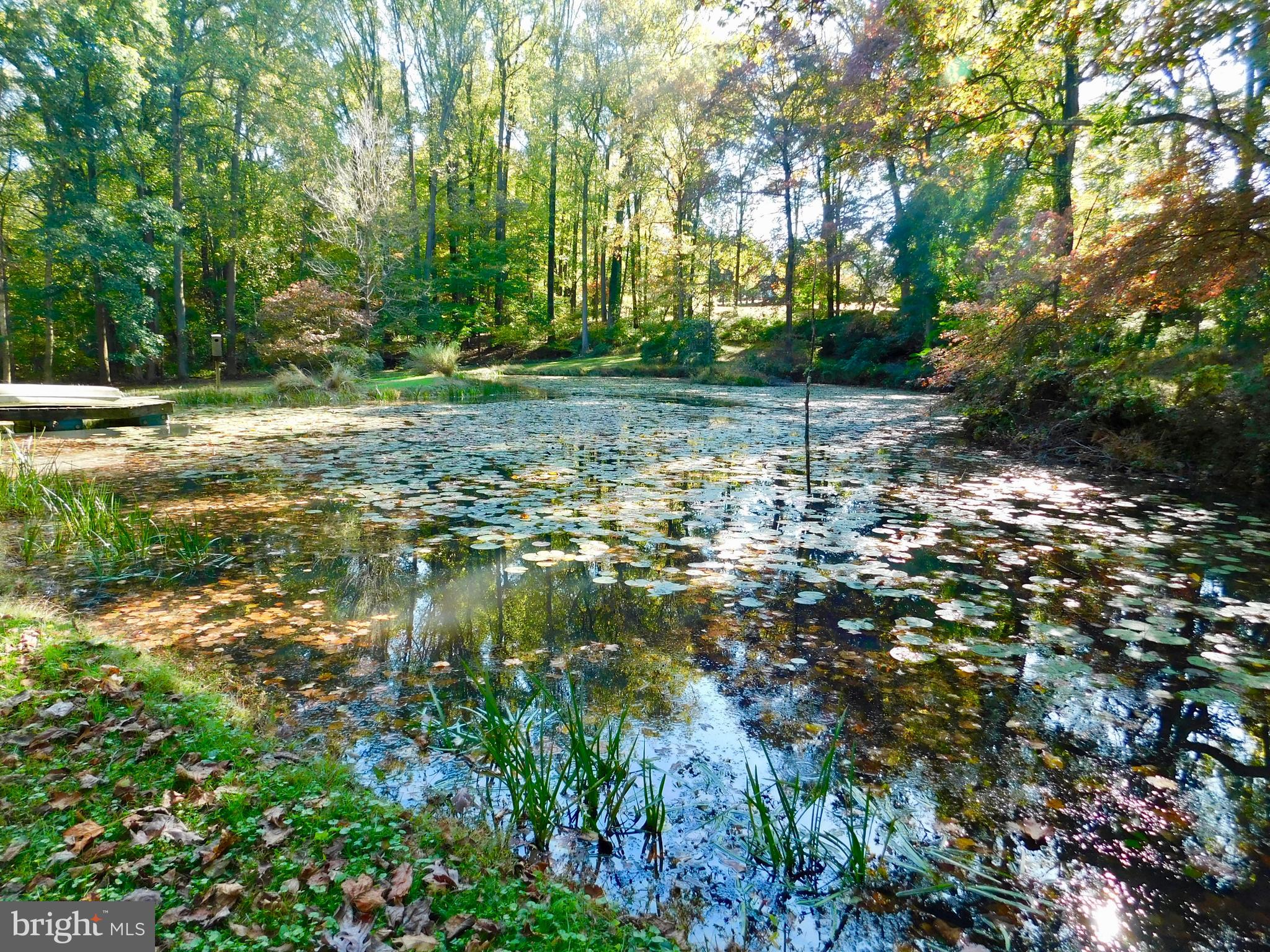 1718 Laurel Brook Road Fallston, MD 21047 - Photo 43 of 60 Your very own lily pond with floating pier