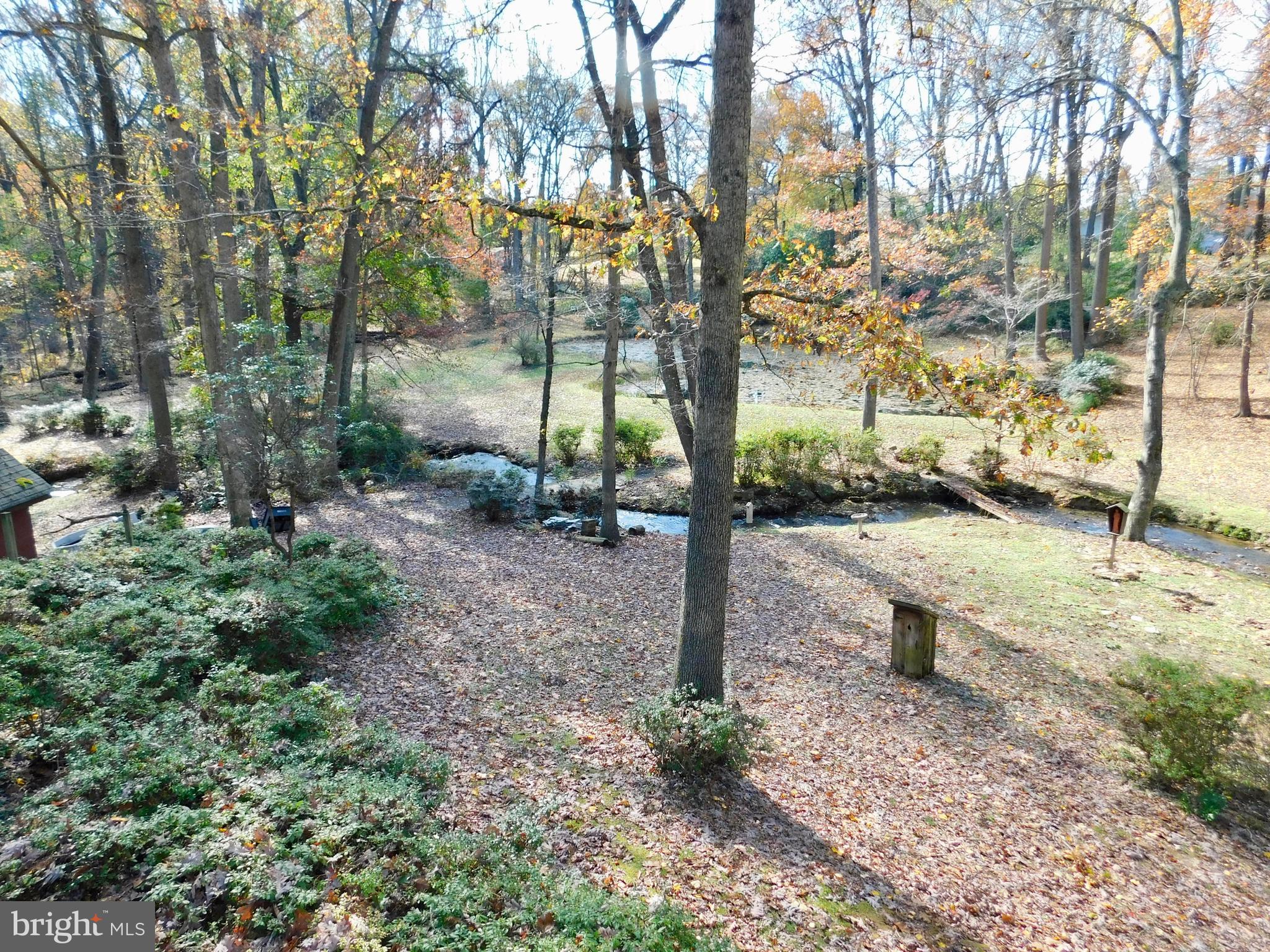 1718 Laurel Brook Road Fallston, MD 21047 - Photo 52 of 60 The yard is a nature lovers' dream!