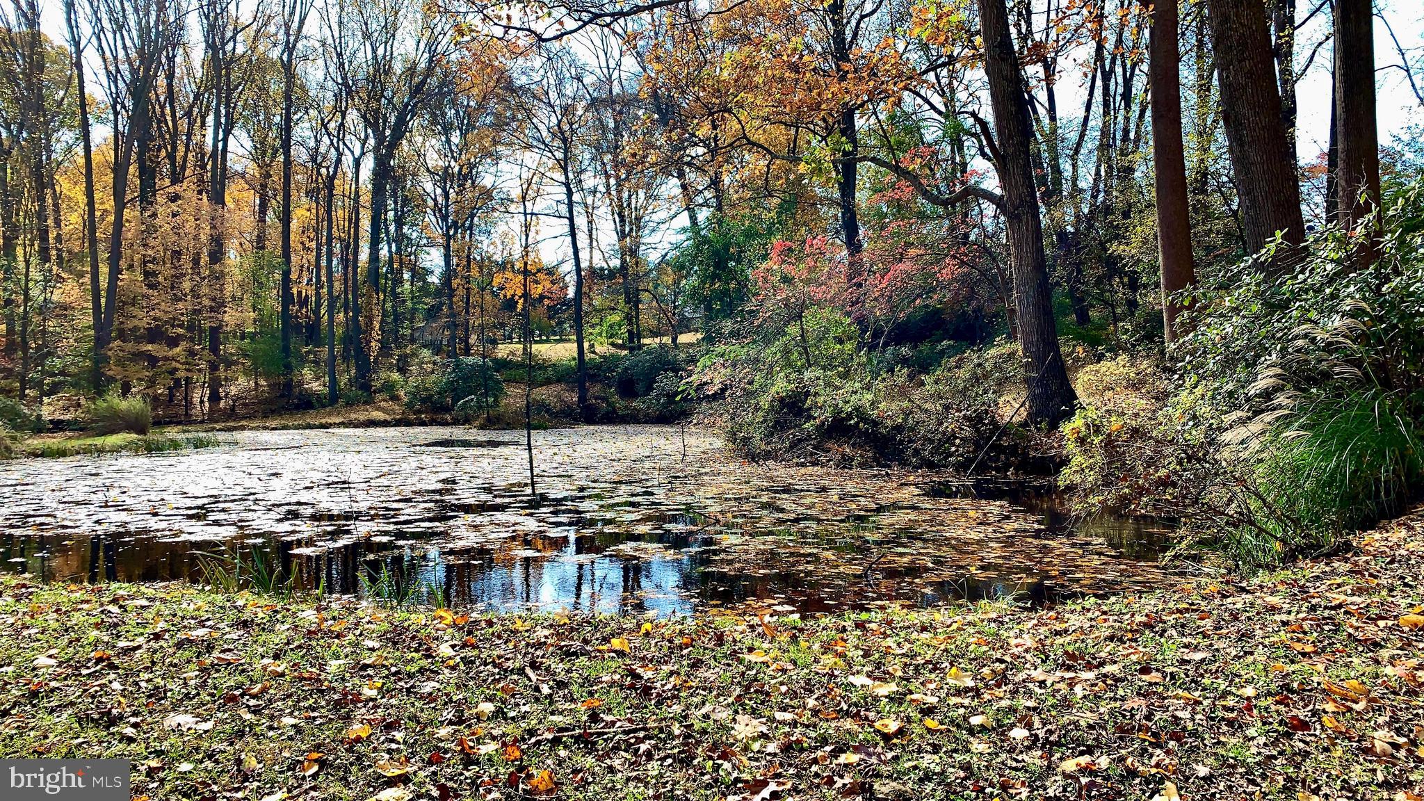 1718 Laurel Brook Road Fallston, MD 21047 - Photo 54 of 60 Your very own cool pond!