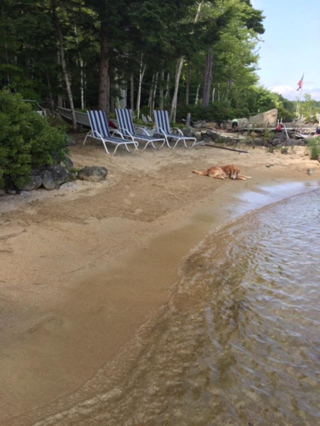 1634 Ridge Road Standish, ME 04084 - Photo 3 of 43 thumbnail