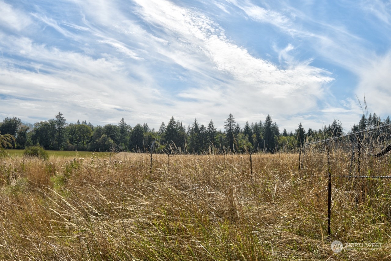 199 Jones Road Winlock, WA 98596 - Photo 4 of 18