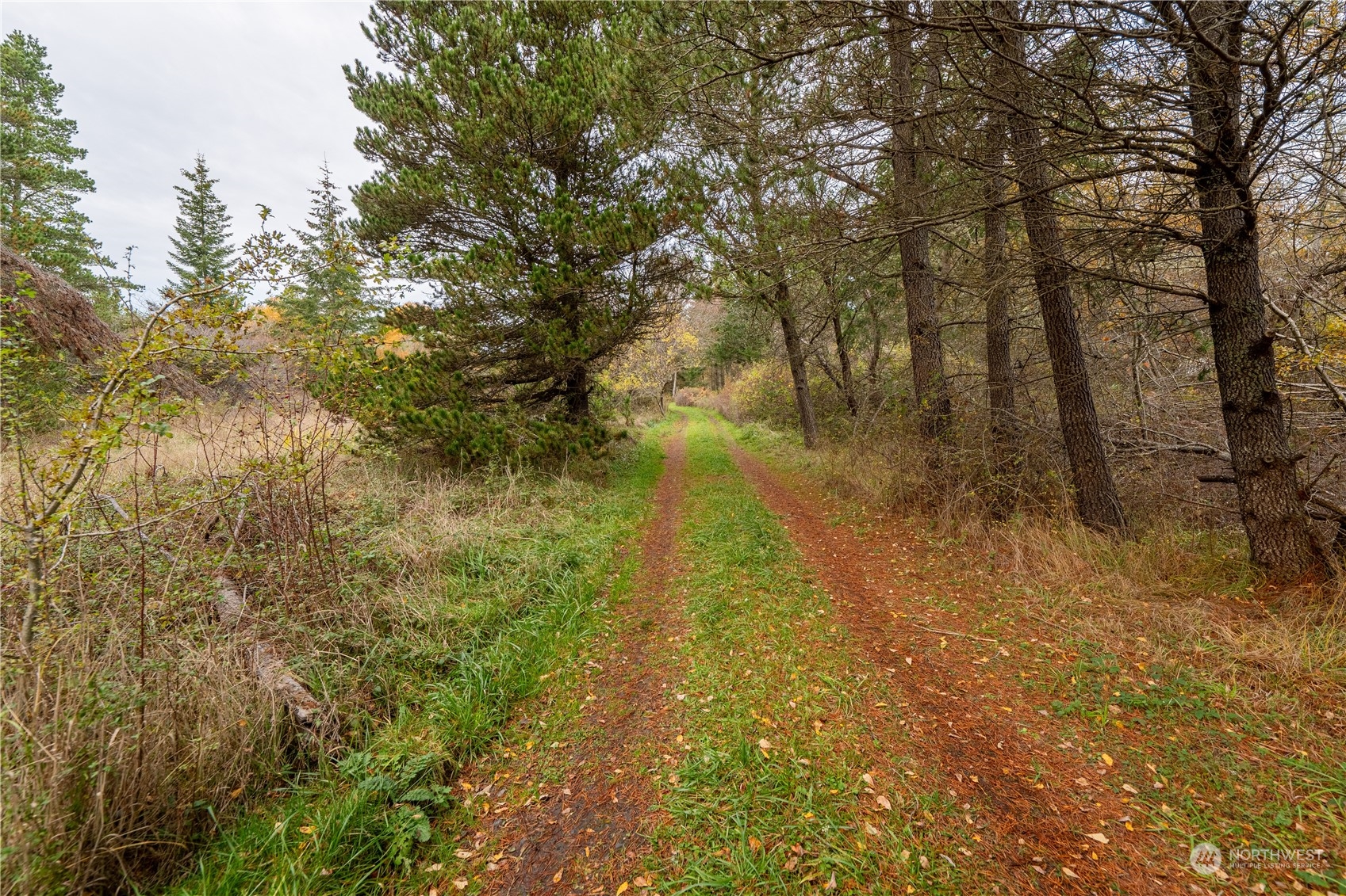 119 Portland Fair Road Friday Harbor, WA 98250 - Photo 14 of 35 Gallery Image 14