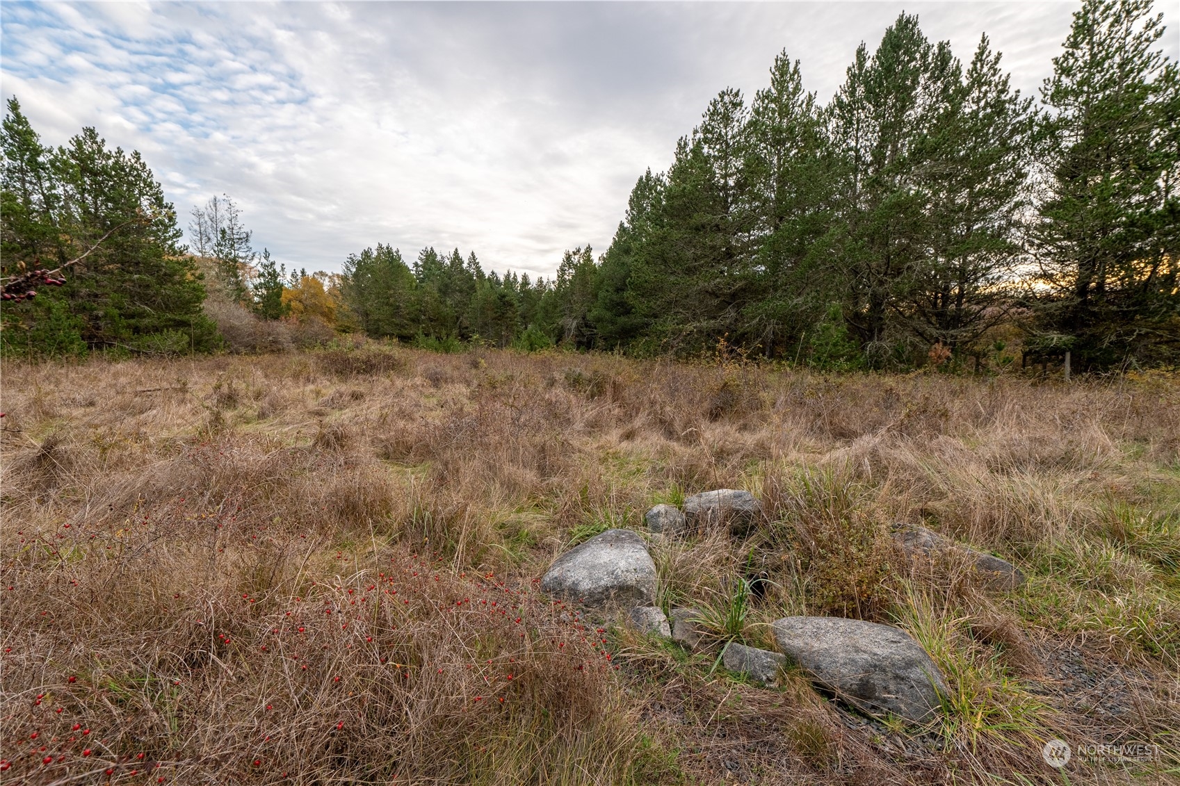 119 Portland Fair Road Friday Harbor, WA 98250 - Photo 17 of 35 Gallery Image 17