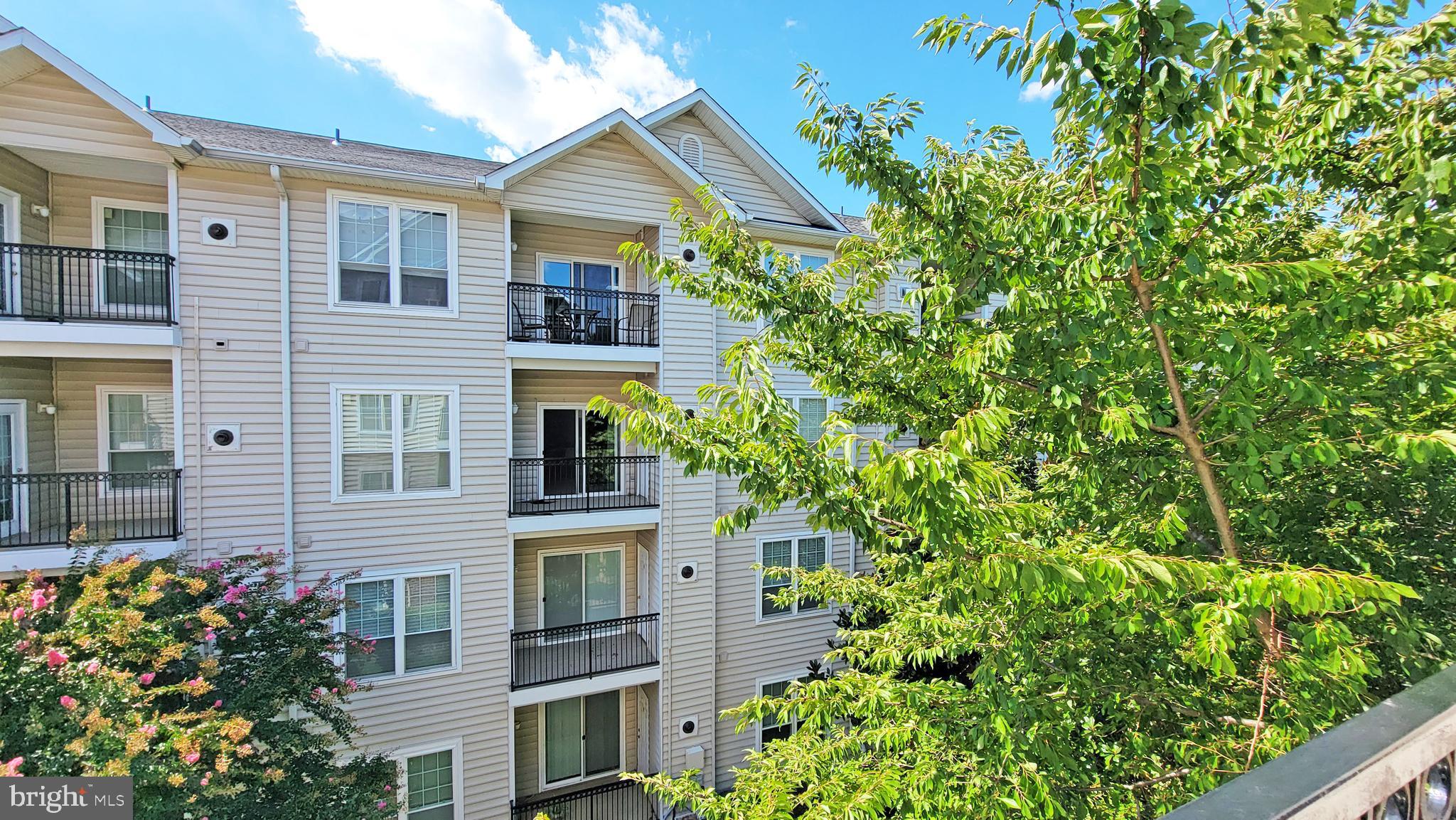 1591 Spring Gate Dr., Unit 3315 McLean, VA 22102 - Photo 21 of 69 TREE HAS LOVELY PINK FLOWERS IN SPRING