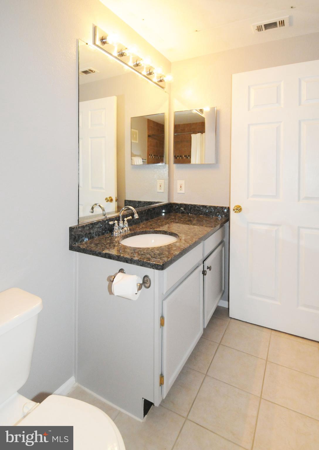 1591 Spring Gate Dr., Unit 3315 McLean, VA 22102 - Photo 36 of 69 ANOTHER VIEW OF THE BATH