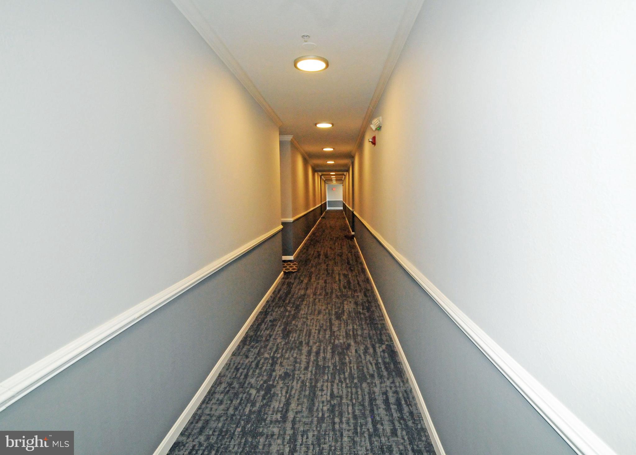 1591 Spring Gate Dr., Unit 3315 McLean, VA 22102 - Photo 5 of 69 WELL LIGHTED & ATTRACTIVE HALLWAYS