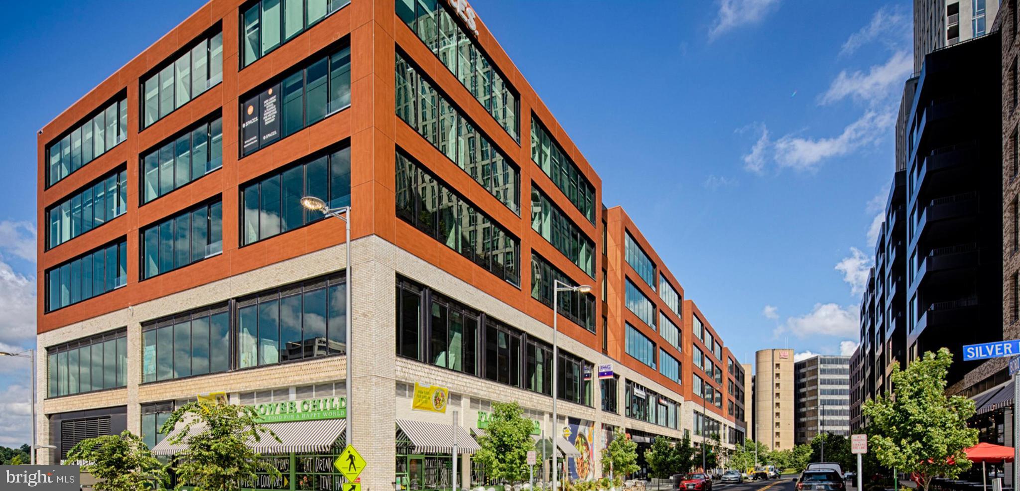 1591 Spring Gate Dr., Unit 3315 McLean, VA 22102 - Photo 69 of 69 FLOWER CHILD AT THE BORO