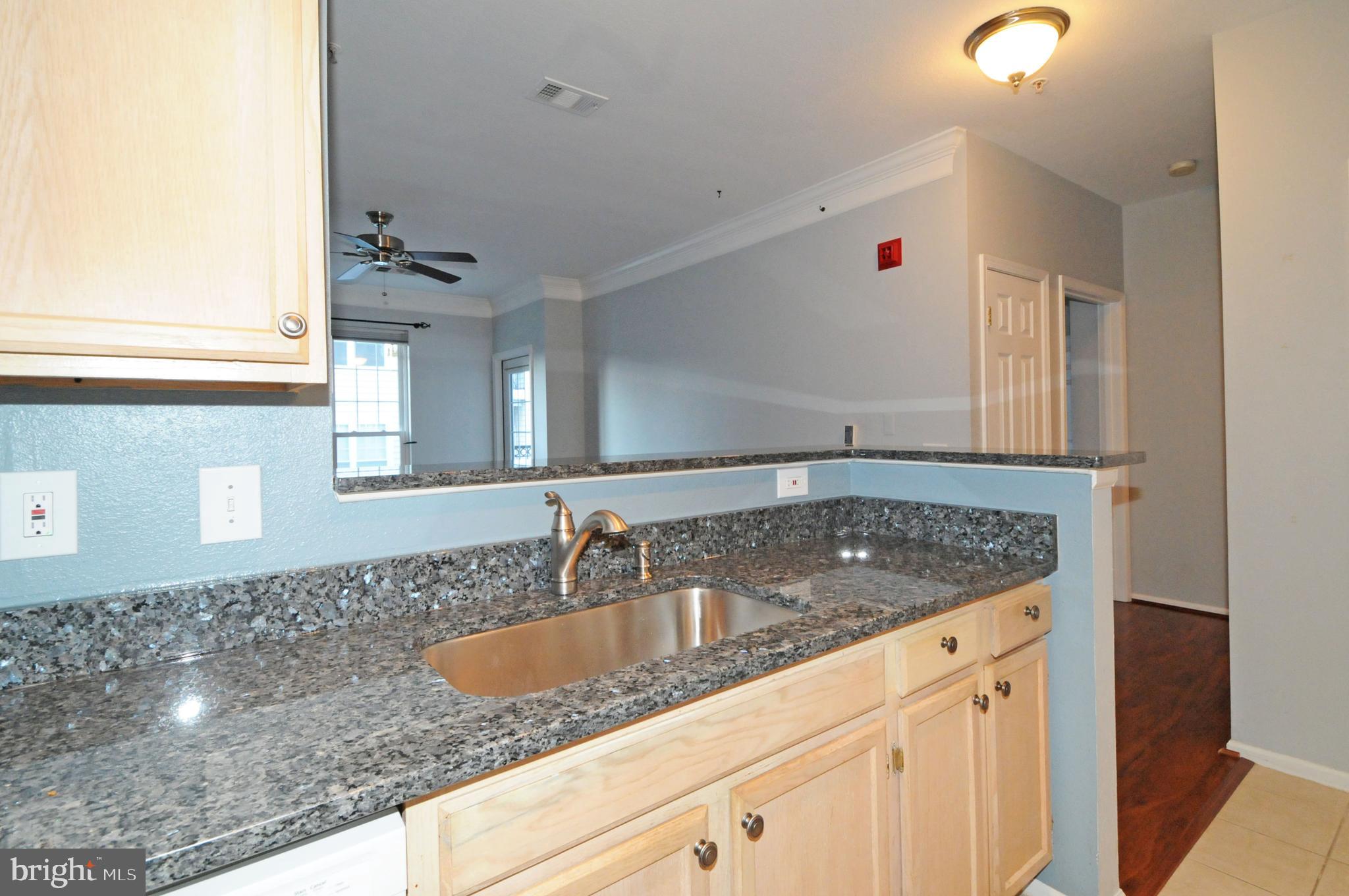 1591 Spring Gate Dr., Unit 3315 McLean, VA 22102 - Photo 10 of 69 BLUE PEARL GRANITE, DEEP SS SINK & FAUCET ALL 2021