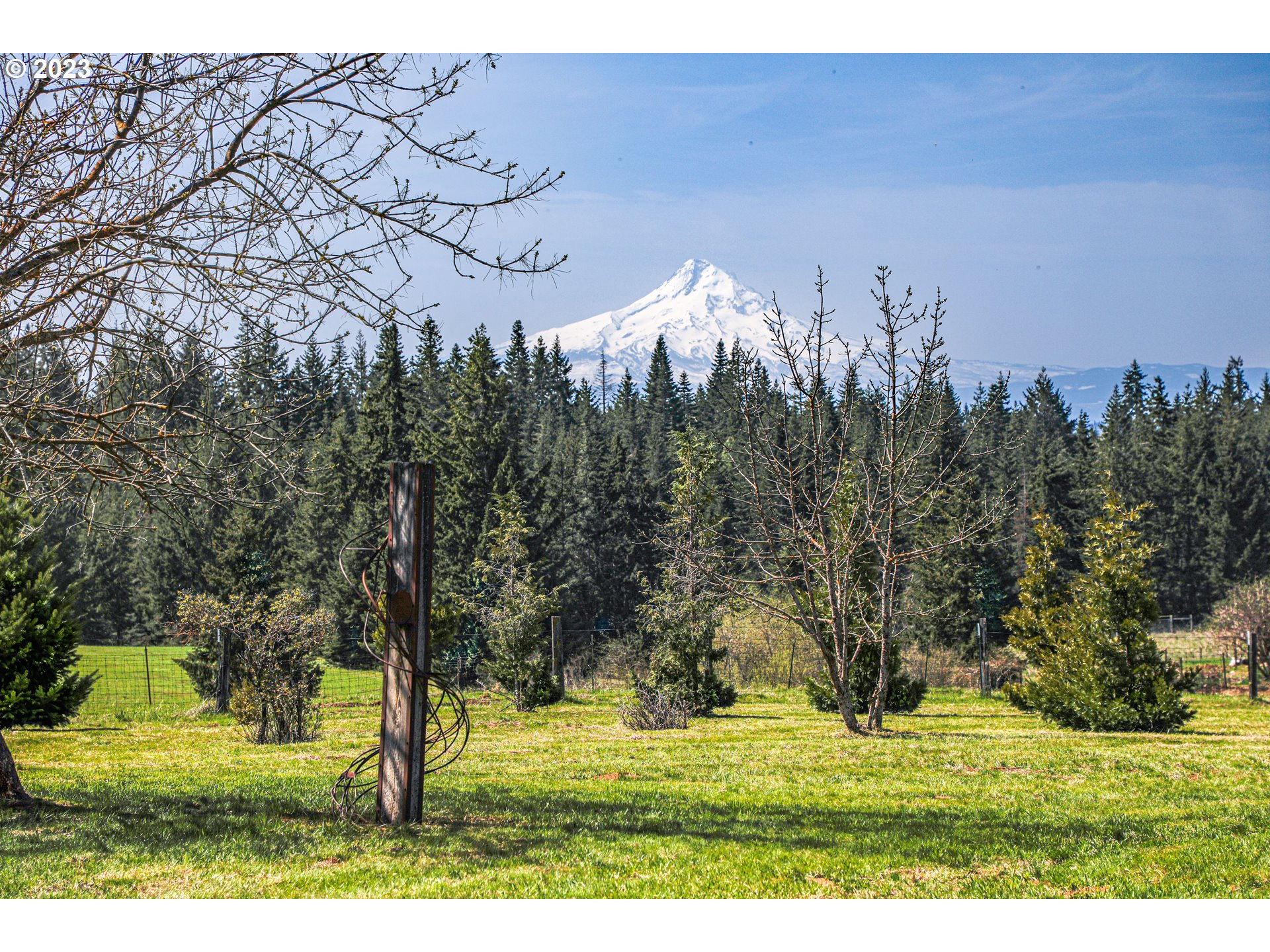 238 Acme Road White Salmon, WA 98672 - Photo 45 of 48 a view of big yard