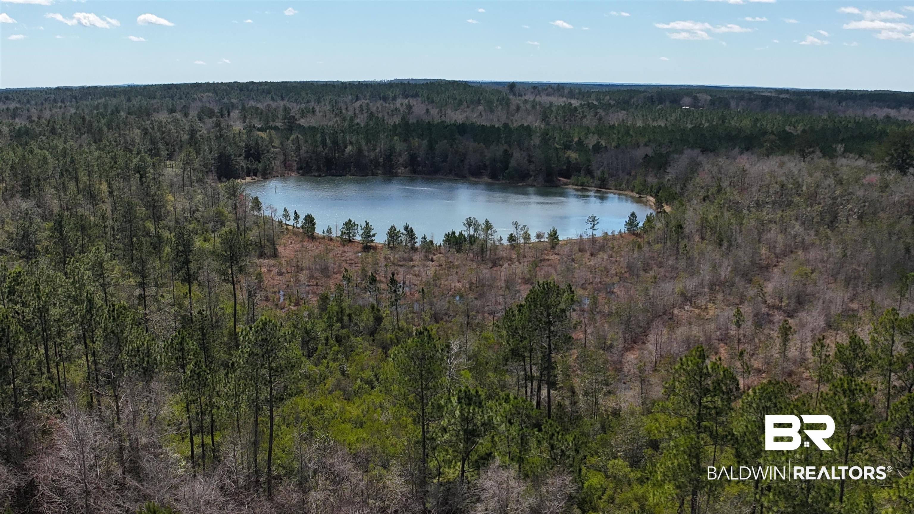 11808 Abb Road Tibbie, AL 36583 - Photo 2 of 31 Aerial view with a wooded view and a water view