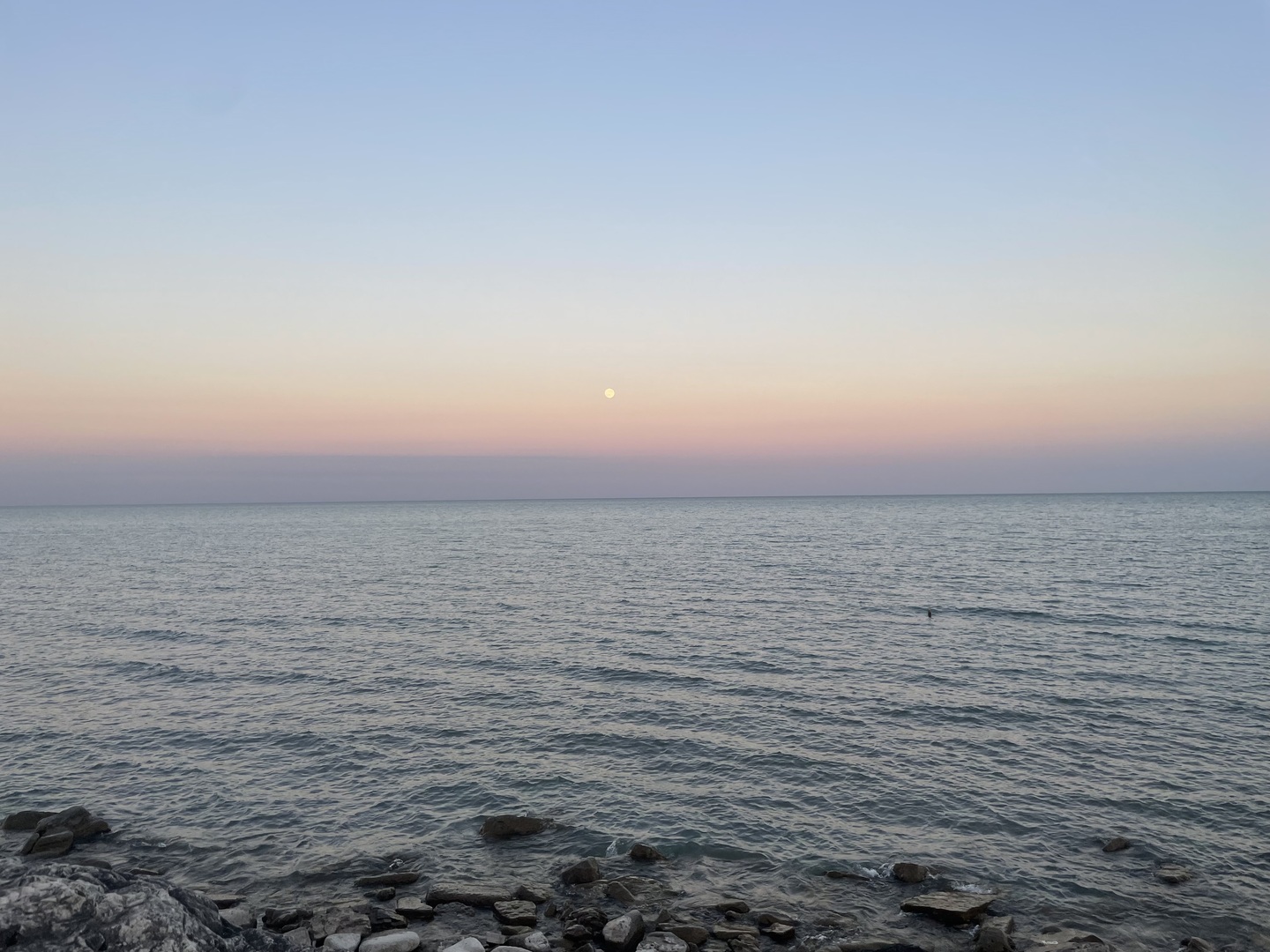 628 Sheridan Square, Unit 2 Evanston, IL 60202 - Photo 33 of 35