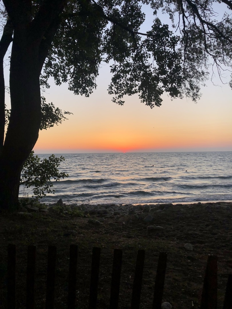 628 Sheridan Square, Unit 2 Evanston, IL 60202 - Photo 34 of 35