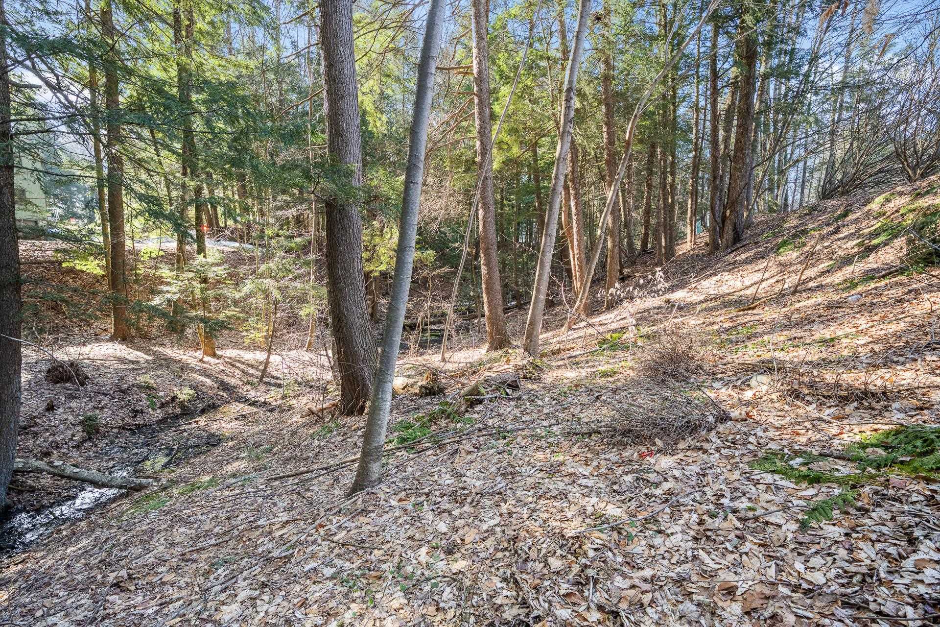 98 River Road Claremont, NH 03743 - Photo 37 of 39 Gallery Image 37
