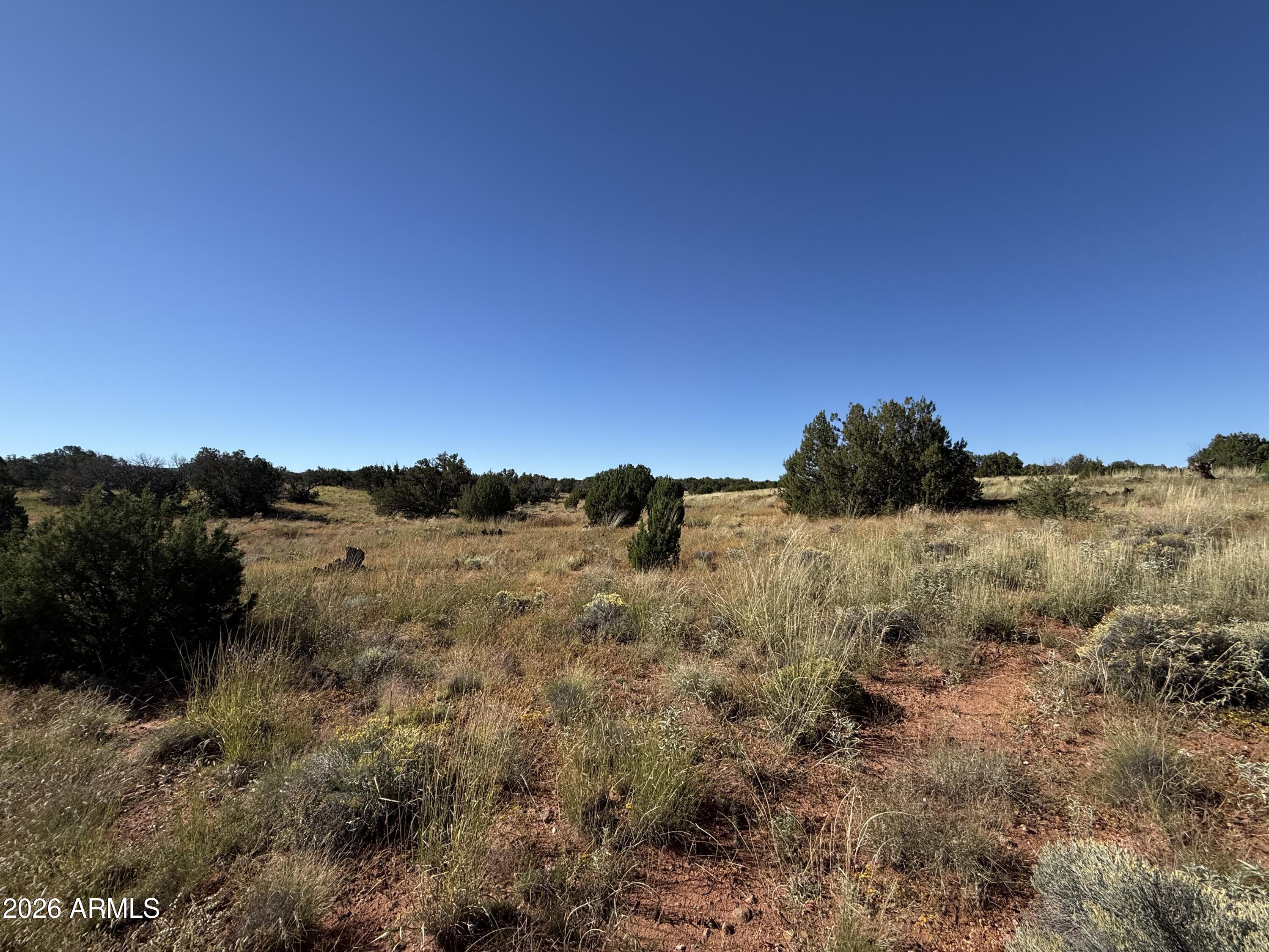 100 North County Road 5331 Road Concho, AZ 85924 - Photo 7 of 15 IMG_8807