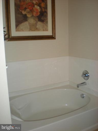 504 Sunset View Terrace Southeast, Unit 208 Leesburg, VA 20175 - Photo 4 of 14 Master Bath #2