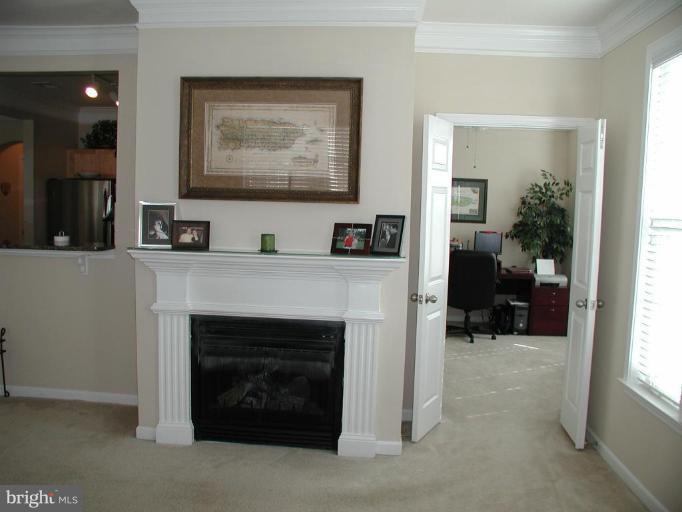 504 Sunset View Terrace Southeast, Unit 208 Leesburg, VA 20175 - Photo 5 of 14 Fireplace