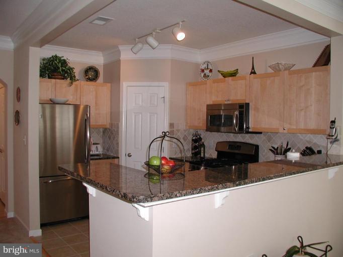 504 Sunset View Terrace Southeast, Unit 208 Leesburg, VA 20175 - Photo 10 of 14 Kitchen #2