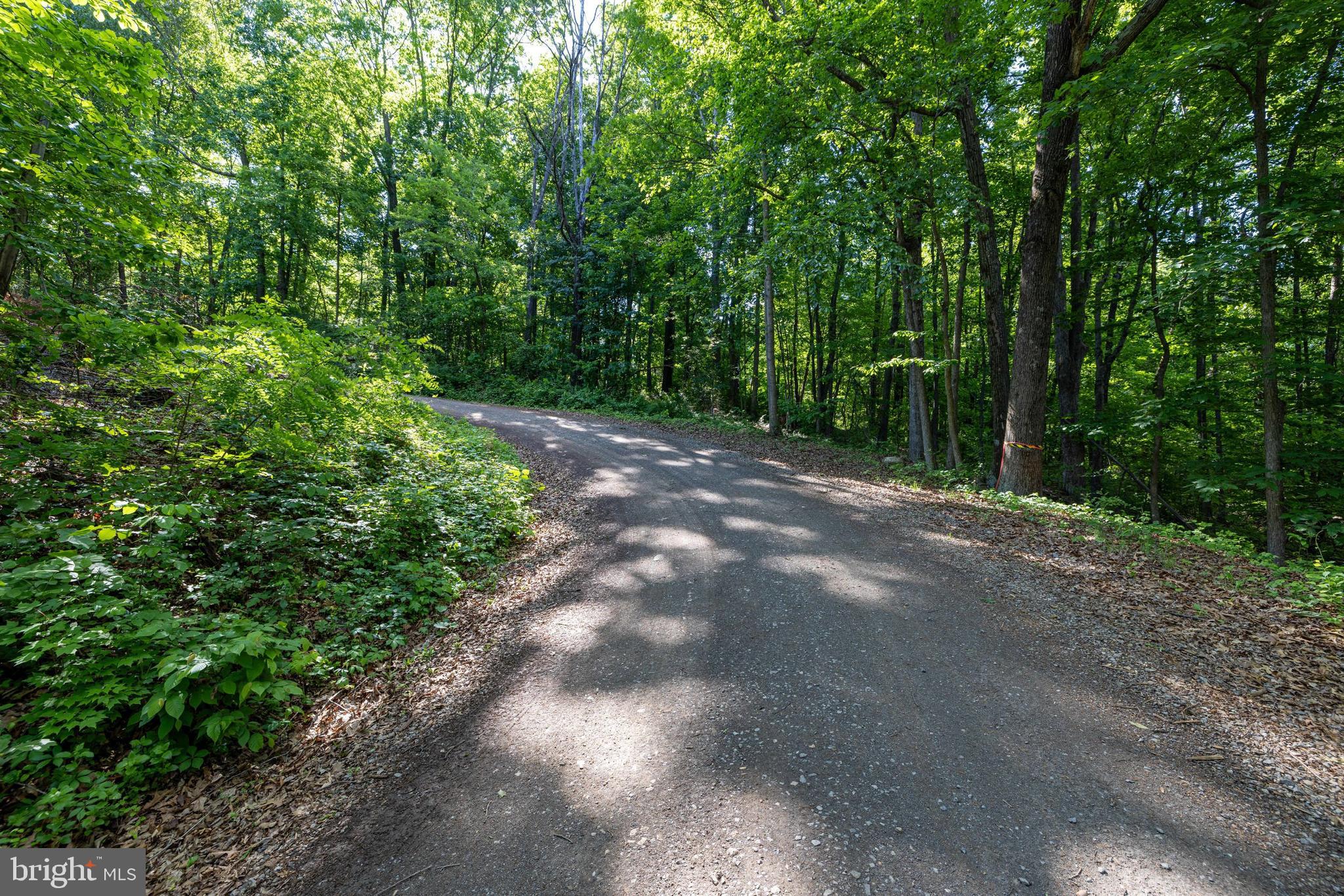 0 Cross Mountain Road Luray, VA 22835 - Photo 40 of 51