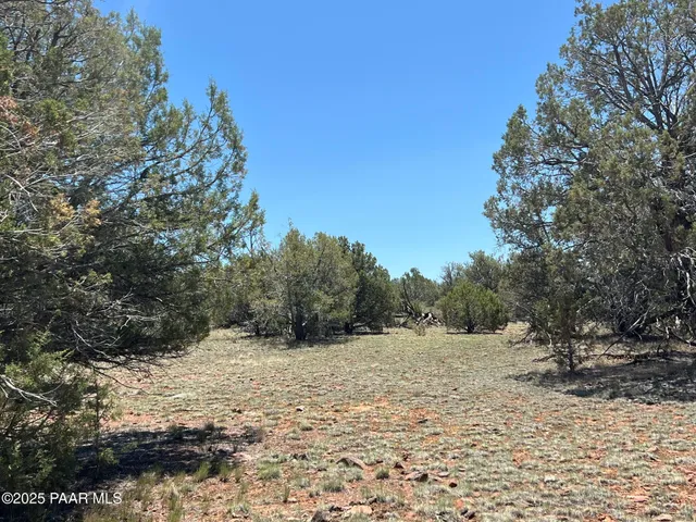 a view of a large yard with a tree